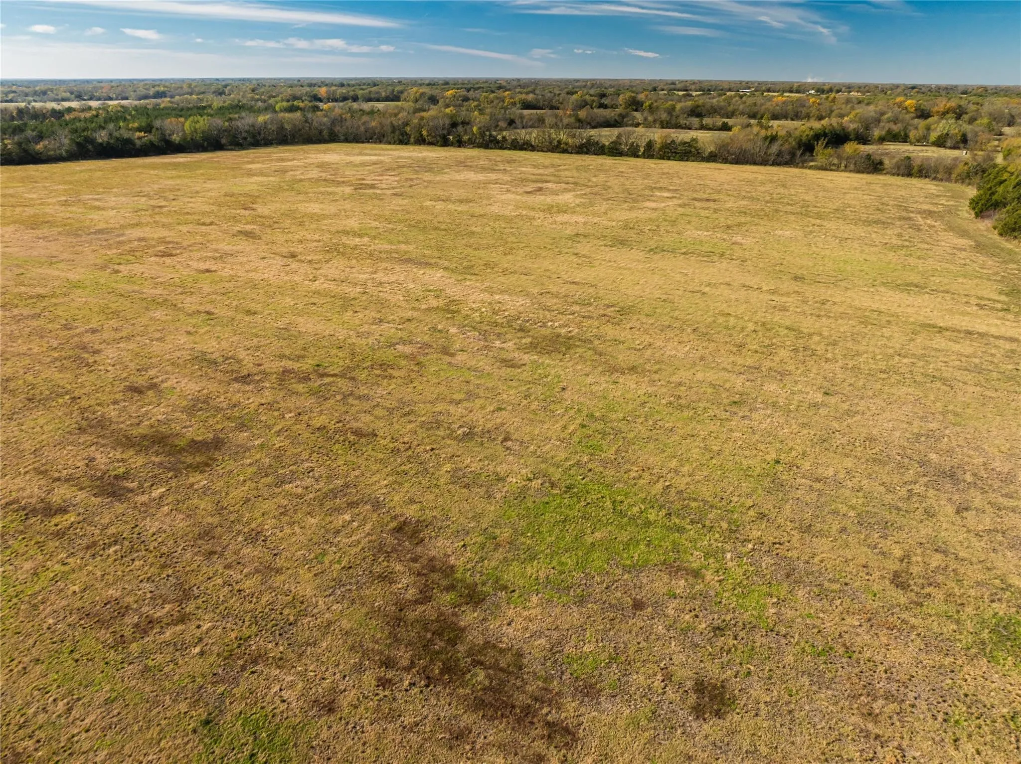 Unimproved Land For Sale in Lamar County , 00 County Road 16110, Pattonville, Texas 75468, 0, 0, Garage spaces, 0 Sqft, built in 0, Price $167,500, mls#21303036, Real Estate Agent in Pattonville, Homes For Sale in Lamar county, Homes For Sale in Pattonville, Realtor in Pattonville Texas, Real Estate Brokerage Independent Realty Texas, Luminita Cordes Realtor