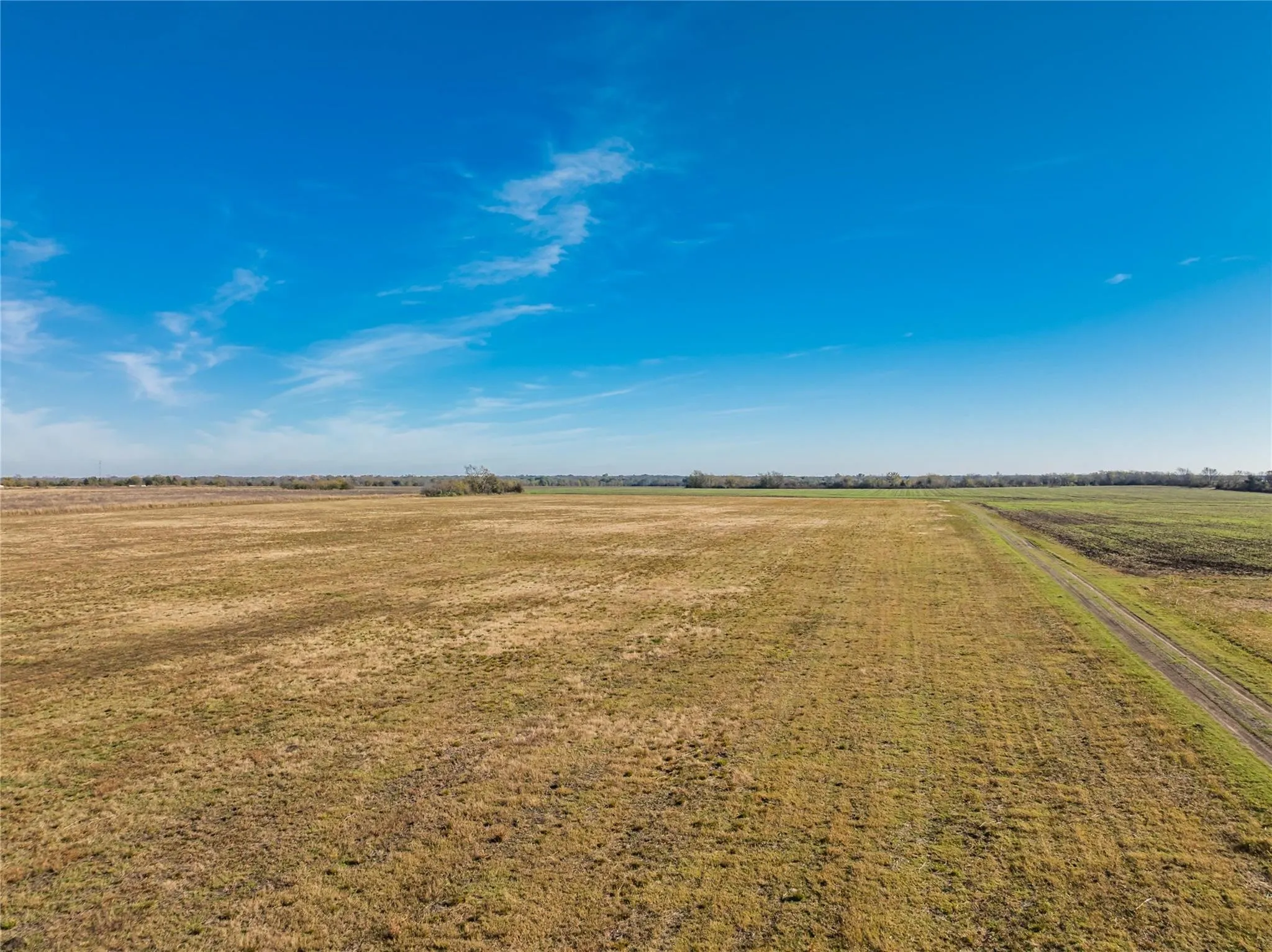 Unimproved Land For Sale in Lamar County , 00 County Road 16110, Pattonville, Texas 75468, 0, 0, Garage spaces, 0 Sqft, built in 0, Price $167,500, mls#21303036, Real Estate Agent in Pattonville, Homes For Sale in Lamar county, Homes For Sale in Pattonville, Realtor in Pattonville Texas, Real Estate Brokerage Independent Realty Texas, Luminita Cordes Realtor