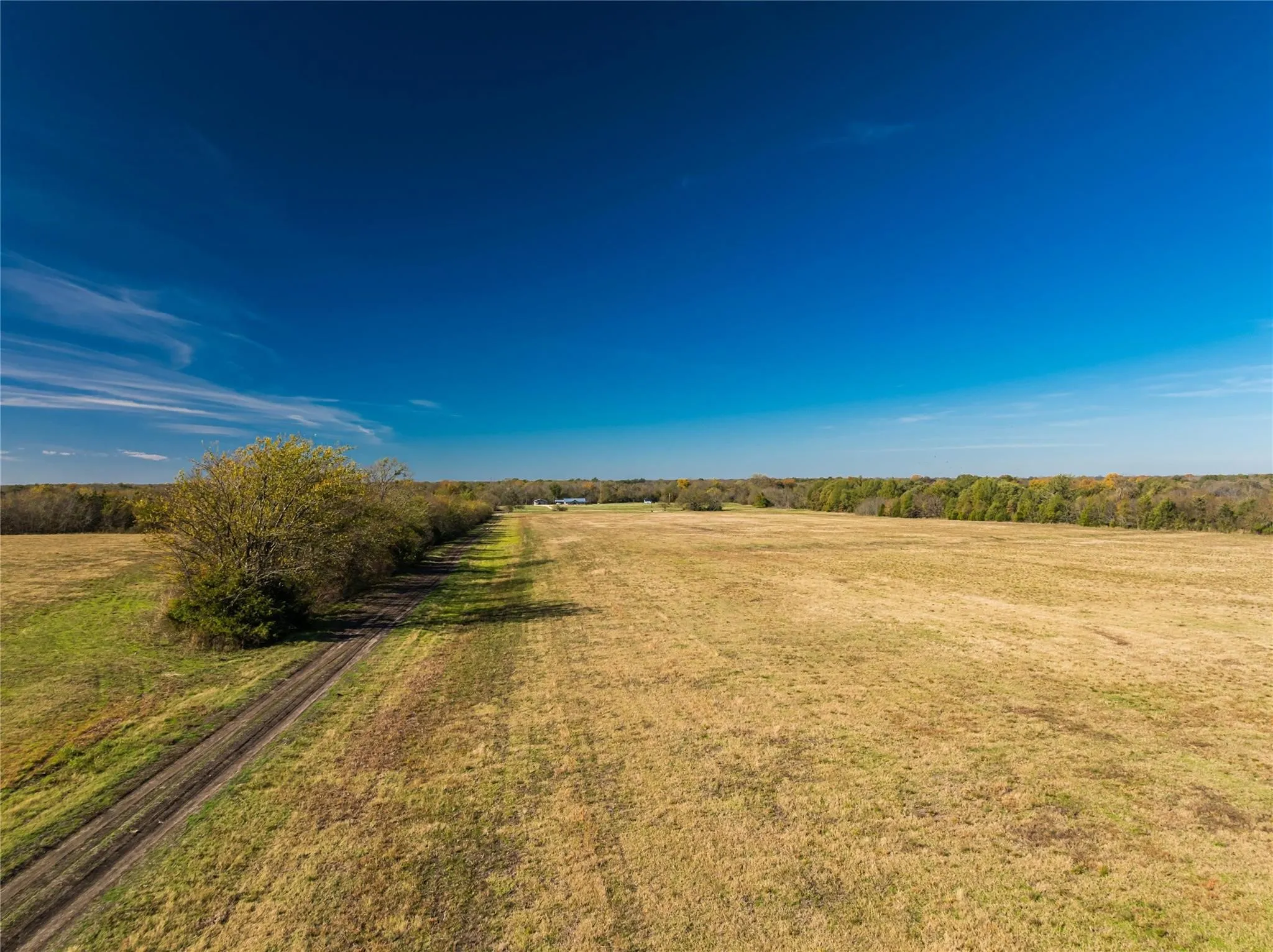 Unimproved Land For Sale in Lamar County , 00 County Road 16110, Pattonville, Texas 75468, 0, 0, Garage spaces, 0 Sqft, built in 0, Price $167,500, mls#21303036, Real Estate Agent in Pattonville, Homes For Sale in Lamar county, Homes For Sale in Pattonville, Realtor in Pattonville Texas, Real Estate Brokerage Independent Realty Texas, Luminita Cordes Realtor