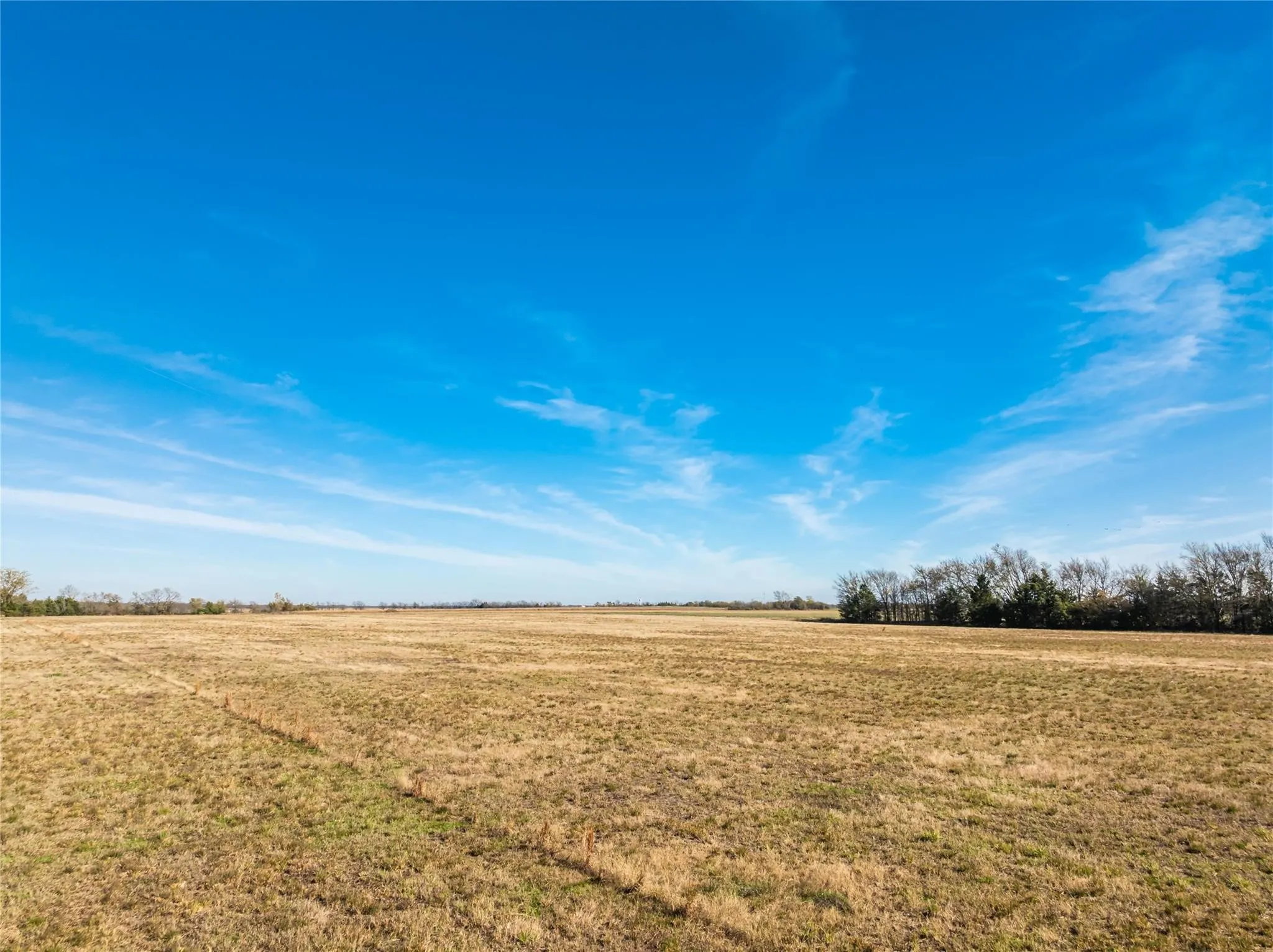 Unimproved Land For Sale in Lamar County , 00 County Road 16110, Pattonville, Texas 75468, 0, 0, Garage spaces, 0 Sqft, built in 0, Price $167,500, mls#21303036, Real Estate Agent in Pattonville, Homes For Sale in Lamar county, Homes For Sale in Pattonville, Realtor in Pattonville Texas, Real Estate Brokerage Independent Realty Texas, Luminita Cordes Realtor