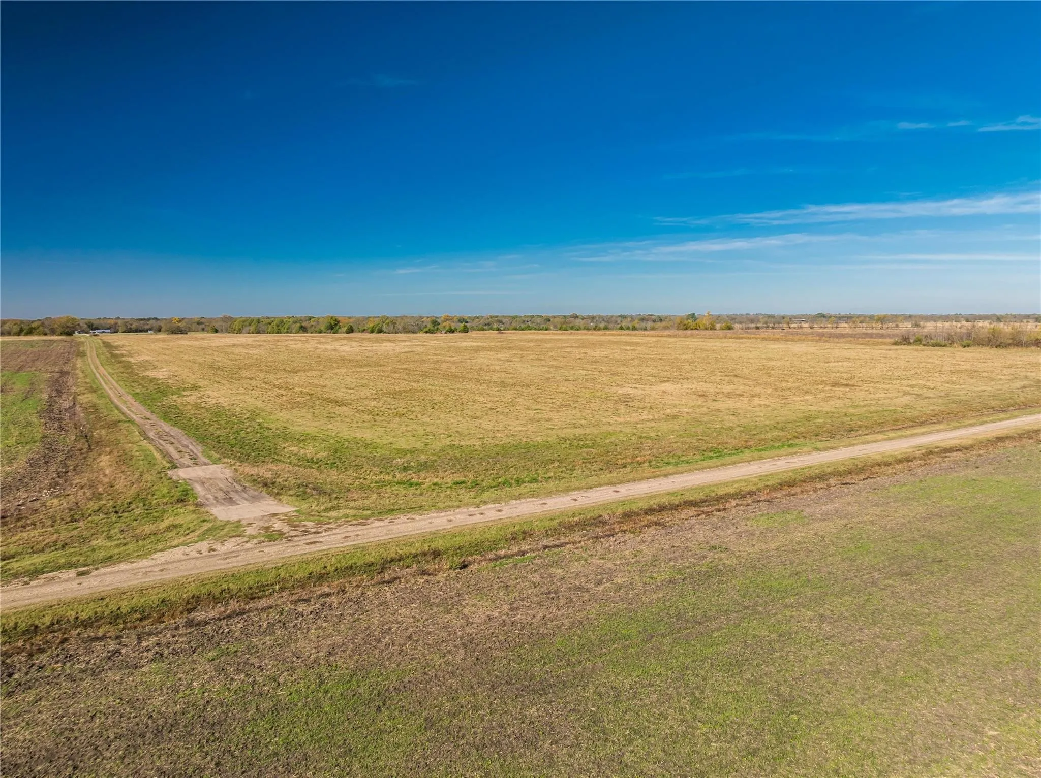 Unimproved Land For Sale in Lamar County , 00 County Road 16110, Pattonville, Texas 75468, 0, 0, Garage spaces, 0 Sqft, built in 0, Price $167,500, mls#21303036, Real Estate Agent in Pattonville, Homes For Sale in Lamar county, Homes For Sale in Pattonville, Realtor in Pattonville Texas, Real Estate Brokerage Independent Realty Texas, Luminita Cordes Realtor
