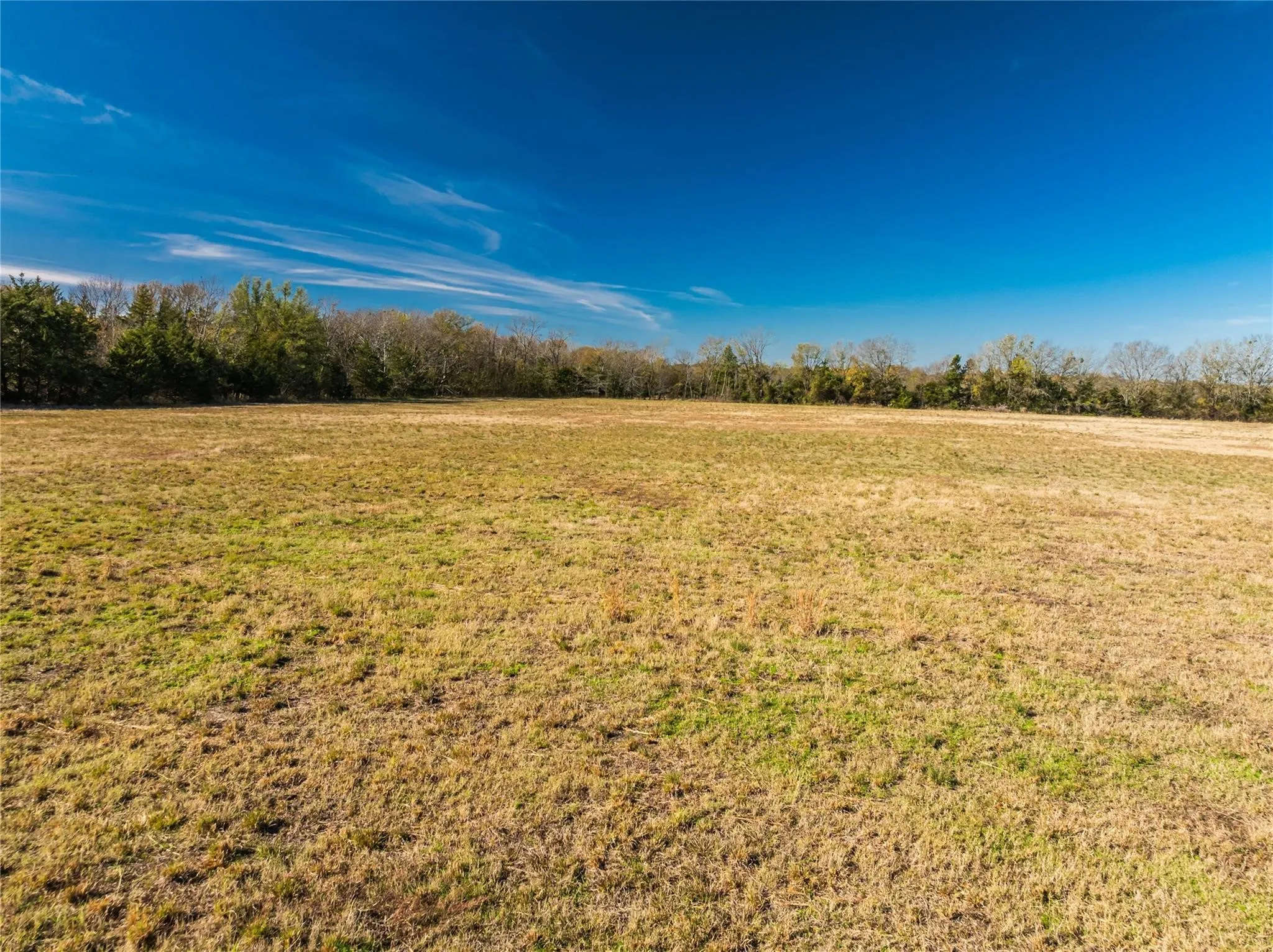 Unimproved Land For Sale in Lamar County , 00 County Road 16110, Pattonville, Texas 75468, 0, 0, Garage spaces, 0 Sqft, built in 0, Price $167,500, mls#21303036, Real Estate Agent in Pattonville, Homes For Sale in Lamar county, Homes For Sale in Pattonville, Realtor in Pattonville Texas, Real Estate Brokerage Independent Realty Texas, Luminita Cordes Realtor