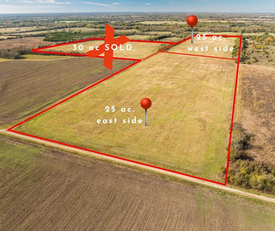 Unimproved Land For Sale in Lamar County , 00 County Road 16110, Pattonville, Texas 75468, 0, 0, Garage spaces, 0 Sqft, built in 0, Price $167,500, mls#21303036, Real Estate Agent in Pattonville, Homes For Sale in Lamar county, Homes For Sale in Pattonville, Realtor in Pattonville Texas, Real Estate Brokerage Independent Realty Texas, Luminita Cordes Realtor