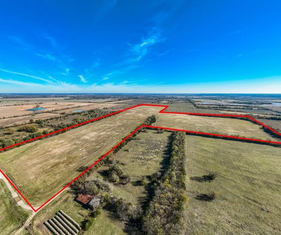 Unimproved Land For Sale in Lamar County , 00 County Road 16110, Pattonville, Texas 75468, 0, 0, Garage spaces, 0 Sqft, built in 0, Price $167,500, mls#21303036, Real Estate Agent in Pattonville, Homes For Sale in Lamar county, Homes For Sale in Pattonville, Realtor in Pattonville Texas, Real Estate Brokerage Independent Realty Texas, Luminita Cordes Realtor