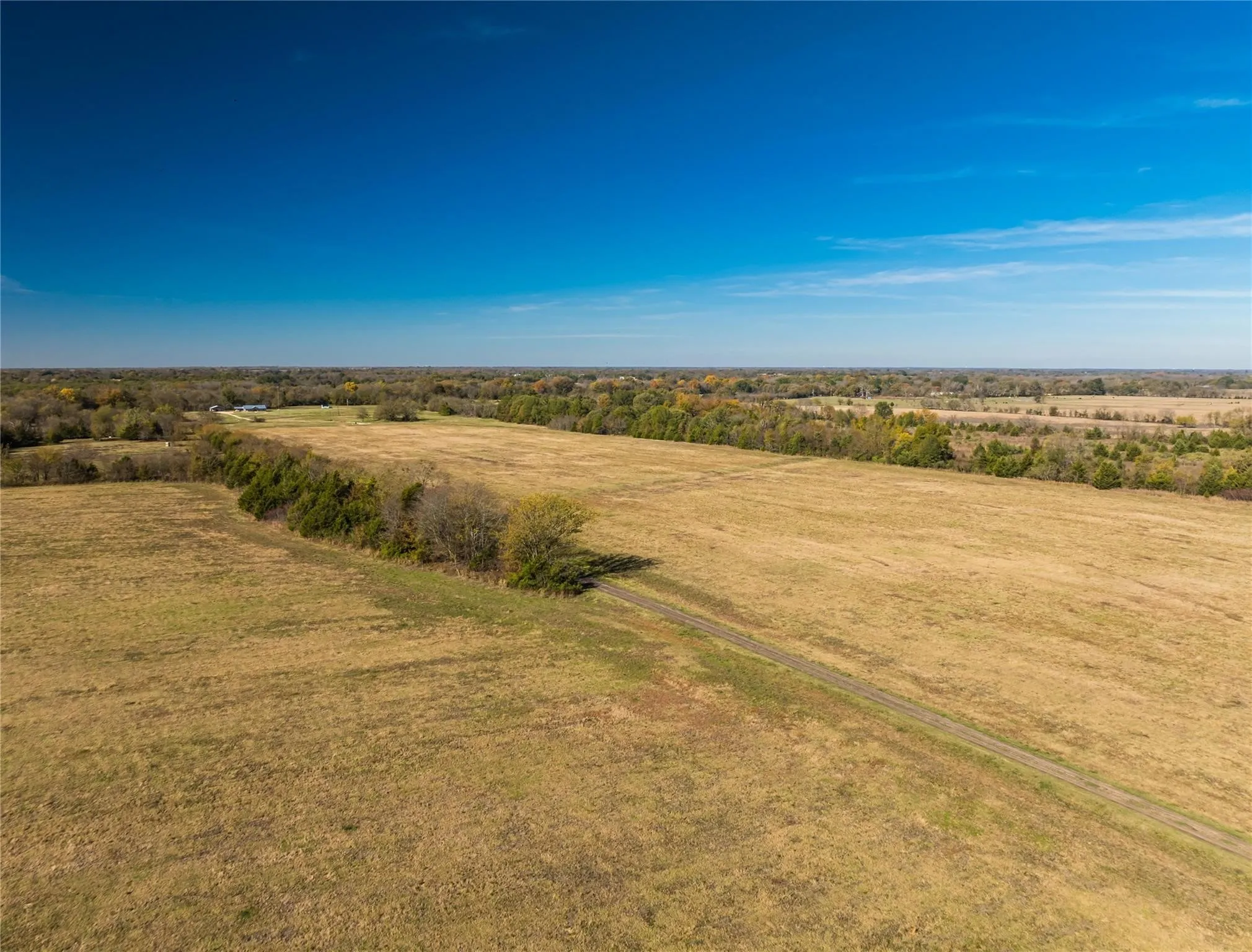 Unimproved Land For Sale in Lamar County , 00 County Road 16110, Pattonville, Texas 75468, 0, 0, Garage spaces, 0 Sqft, built in 0, Price $167,500, mls#21303036, Real Estate Agent in Pattonville, Homes For Sale in Lamar county, Homes For Sale in Pattonville, Realtor in Pattonville Texas, Real Estate Brokerage Independent Realty Texas, Luminita Cordes Realtor