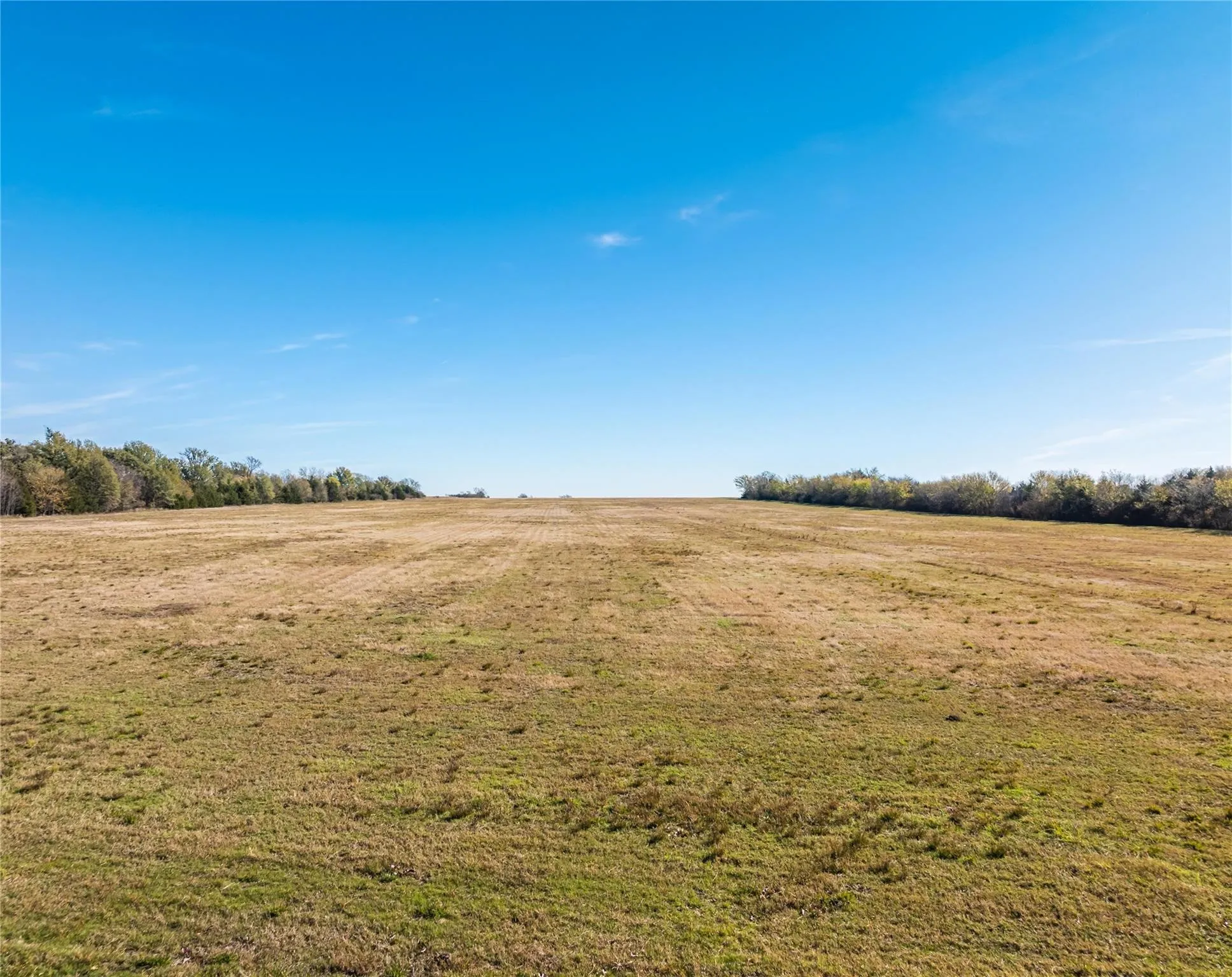 Unimproved Land For Sale in Lamar County , 00 County Road 16110, Pattonville, Texas 75468, 0, 0, Garage spaces, 0 Sqft, built in 0, Price $167,500, mls#21303036, Real Estate Agent in Pattonville, Homes For Sale in Lamar county, Homes For Sale in Pattonville, Realtor in Pattonville Texas, Real Estate Brokerage Independent Realty Texas, Luminita Cordes Realtor