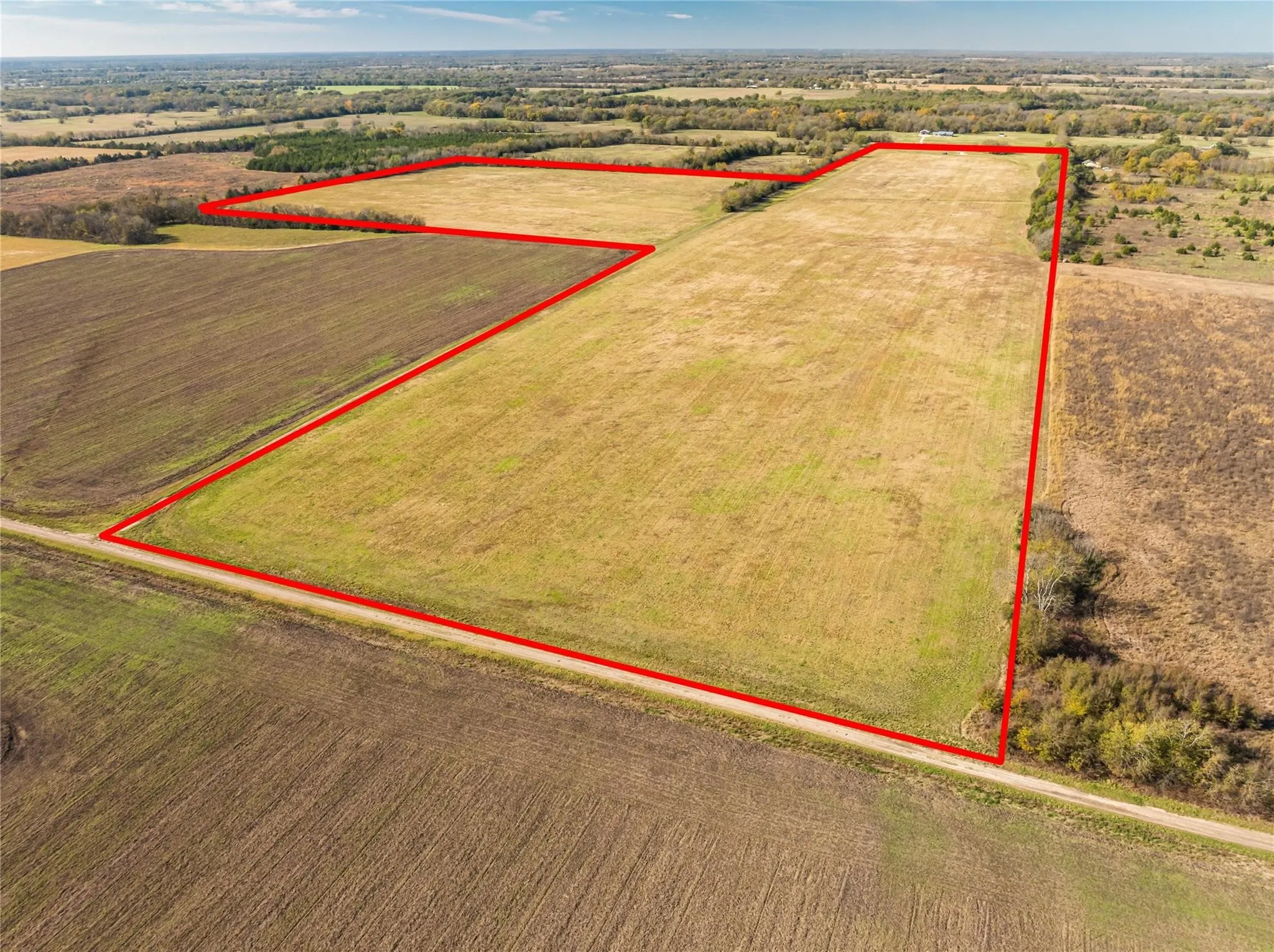 Unimproved Land For Sale in Lamar County , 00 County Road 16110, Pattonville, Texas 75468, 0, 0, Garage spaces, 0 Sqft, built in 0, Price $167,500, mls#21303036, Real Estate Agent in Pattonville, Homes For Sale in Lamar county, Homes For Sale in Pattonville, Realtor in Pattonville Texas, Real Estate Brokerage Independent Realty Texas, Luminita Cordes Realtor