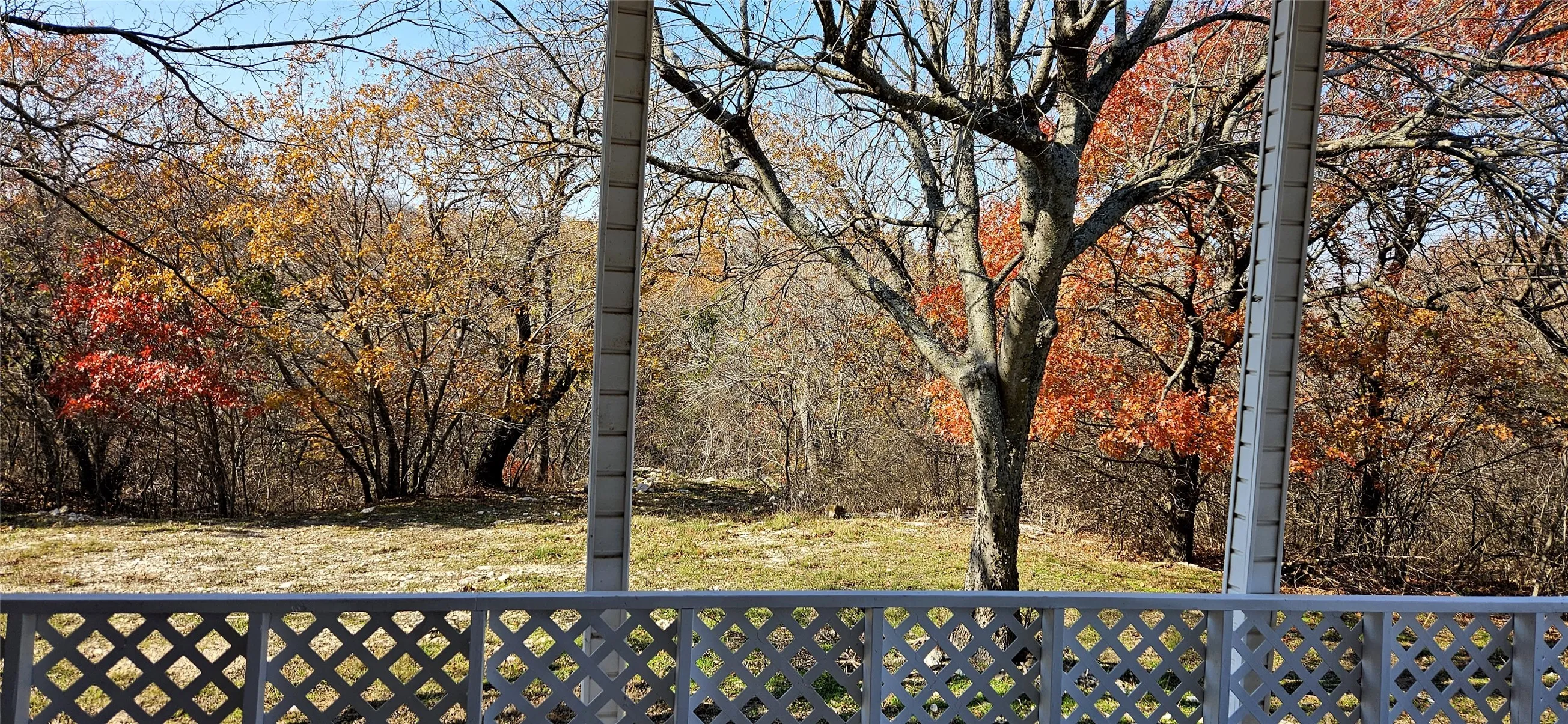 Backyard During The Fall.