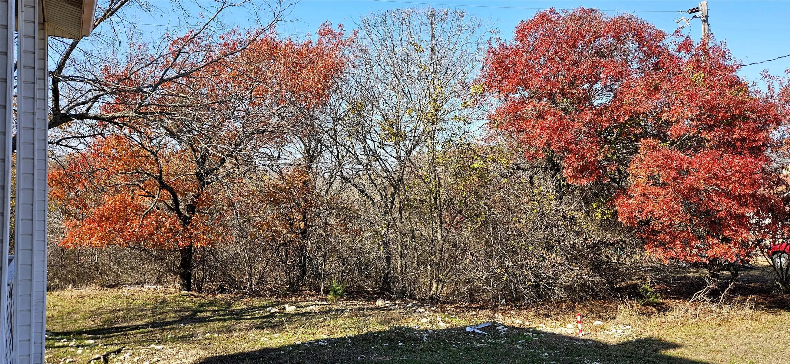 Backyard During The Fall.