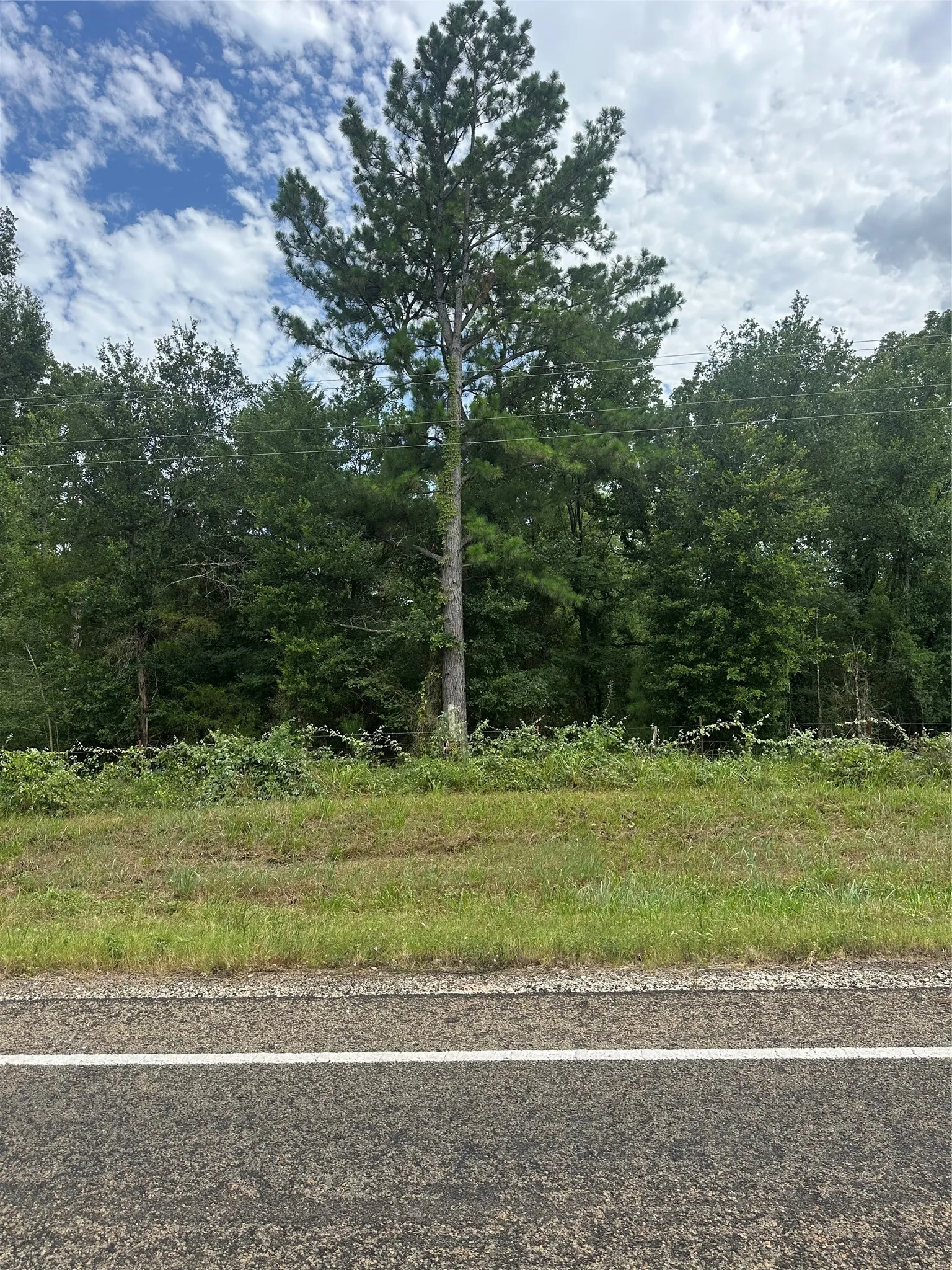 Unimproved Land For Sale in Freestone County , 473 Fm 1365, Teague, Texas 76667, 0, 0, Garage spaces, 0 Sqft, built in 0, Price $66,000, mls#21303064, Real Estate Agent in Teague, Homes For Sale in Freestone county, Homes For Sale in Teague, Realtor in Teague Texas, Real Estate Brokerage Independent Realty Texas, Luminita Cordes Realtor