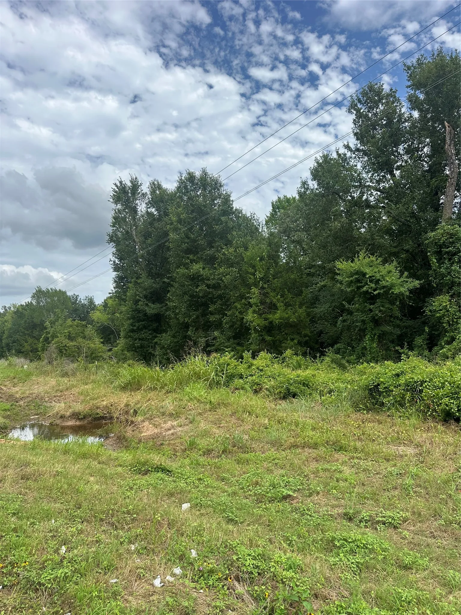 Unimproved Land For Sale in Freestone County , 473 Fm 1365, Teague, Texas 76667, 0, 0, Garage spaces, 0 Sqft, built in 0, Price $66,000, mls#21303064, Real Estate Agent in Teague, Homes For Sale in Freestone county, Homes For Sale in Teague, Realtor in Teague Texas, Real Estate Brokerage Independent Realty Texas, Luminita Cordes Realtor