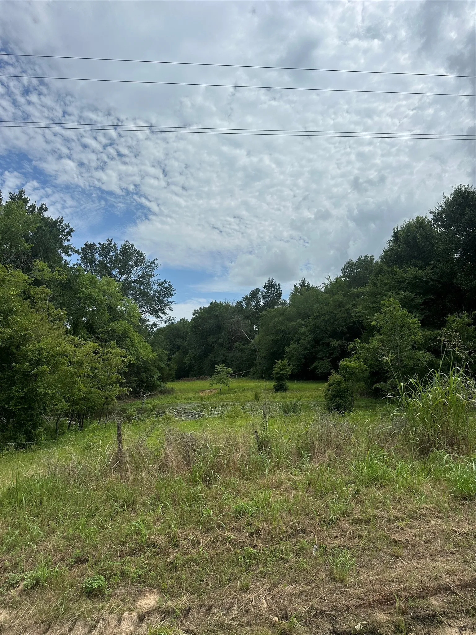Unimproved Land For Sale in Freestone County , 473 Fm 1365, Teague, Texas 76667, 0, 0, Garage spaces, 0 Sqft, built in 0, Price $66,000, mls#21303064, Real Estate Agent in Teague, Homes For Sale in Freestone county, Homes For Sale in Teague, Realtor in Teague Texas, Real Estate Brokerage Independent Realty Texas, Luminita Cordes Realtor