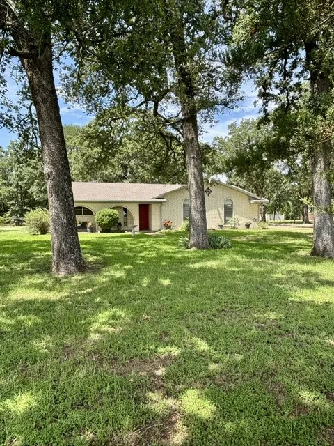 Front with trees
