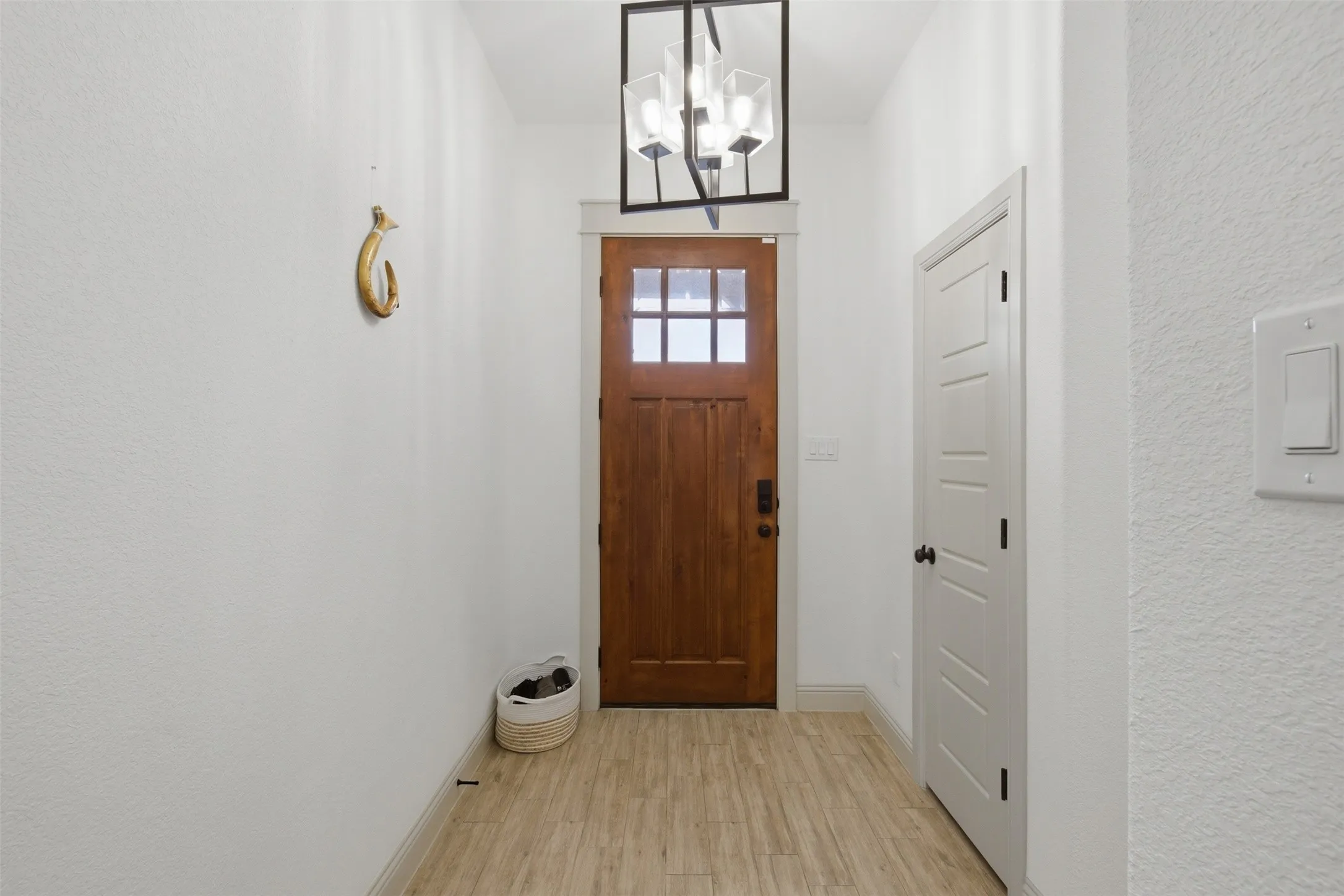 Foyer view with beautiful statement Front Door