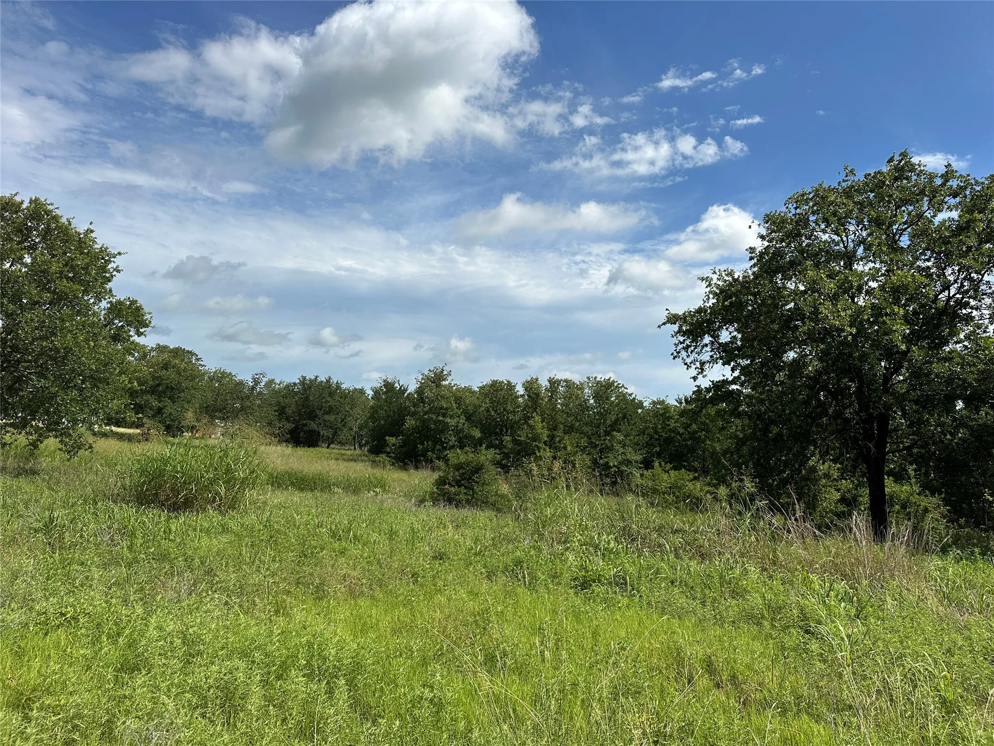 Expansive natural landscape with varied mature trees and abundant green foliage