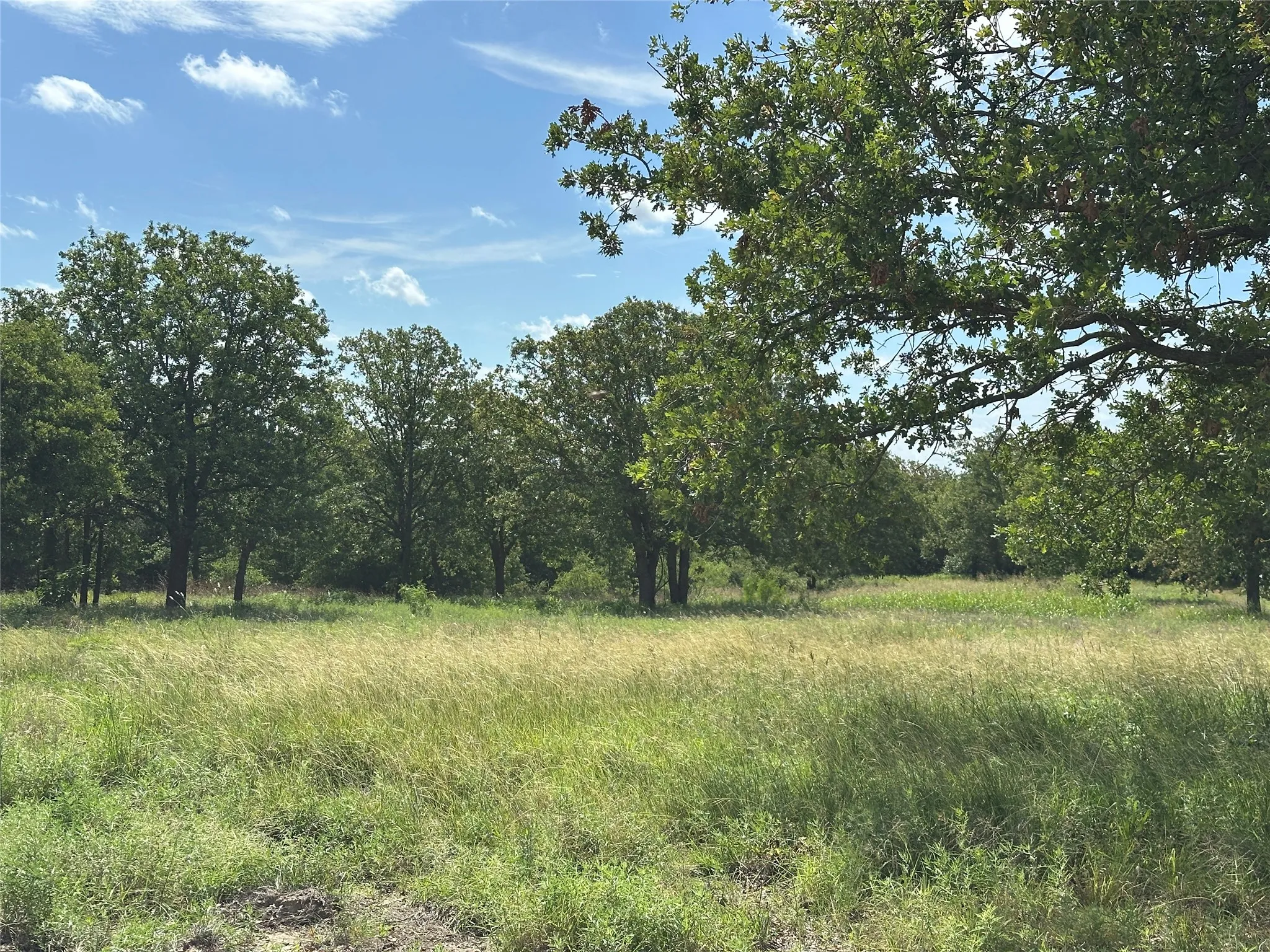 Manufactured Home For Sale in Wise County , 570 Big Salty Lane, Springtown, Texas 76082, 3 Bedroom, 2 Bathroom, Garage spaces, 1,500 Sqft, built in 0, mls#21303101, Real Estate Agent in Springtown, Homes For Sale in Wise county, Homes For Sale in Springtown, Realtor in Springtown Texas, Real Estate Brokerage Independent Realty Texas, Luminita Cordes Realtor