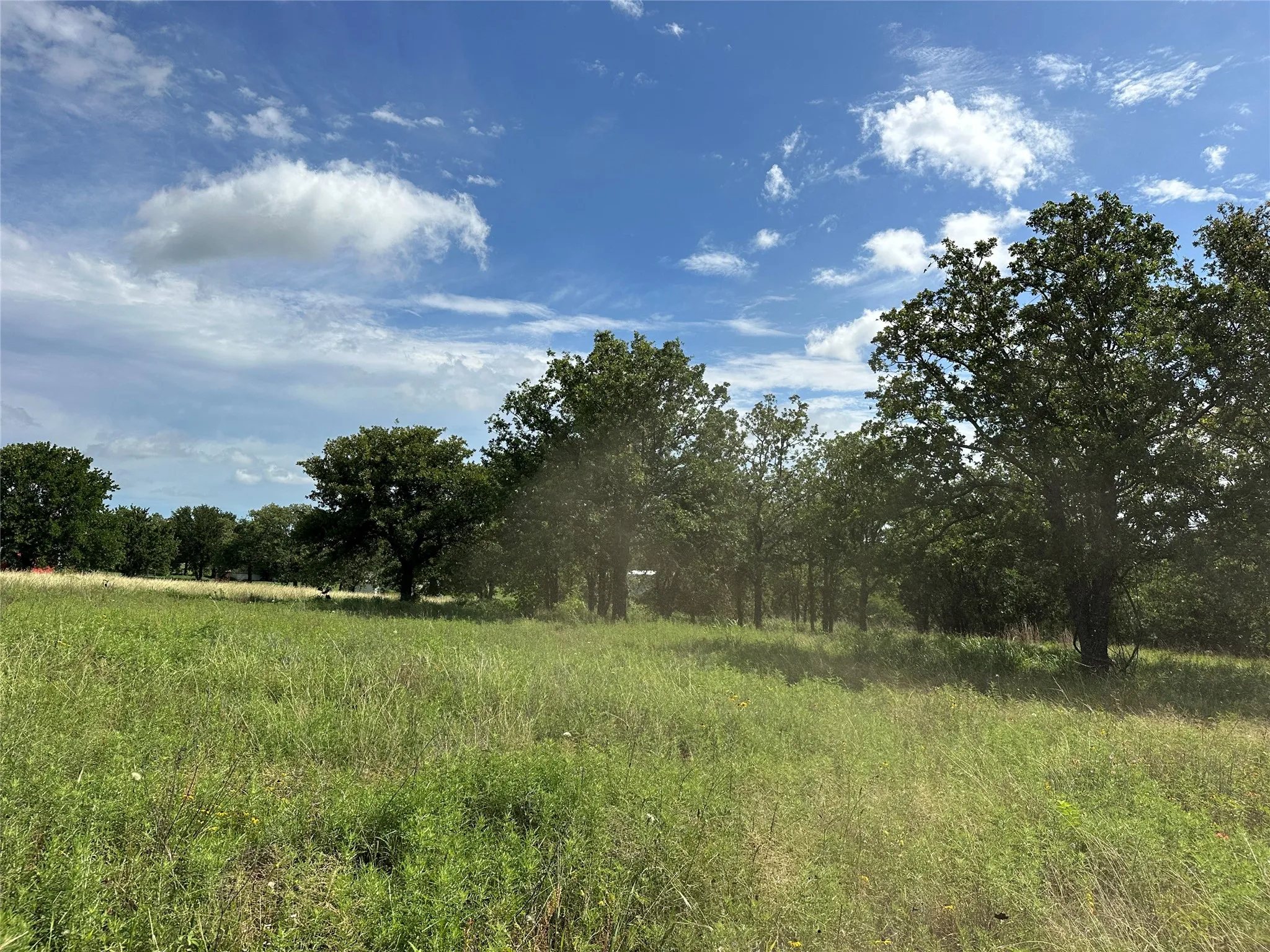 Expansive open field with natural grass