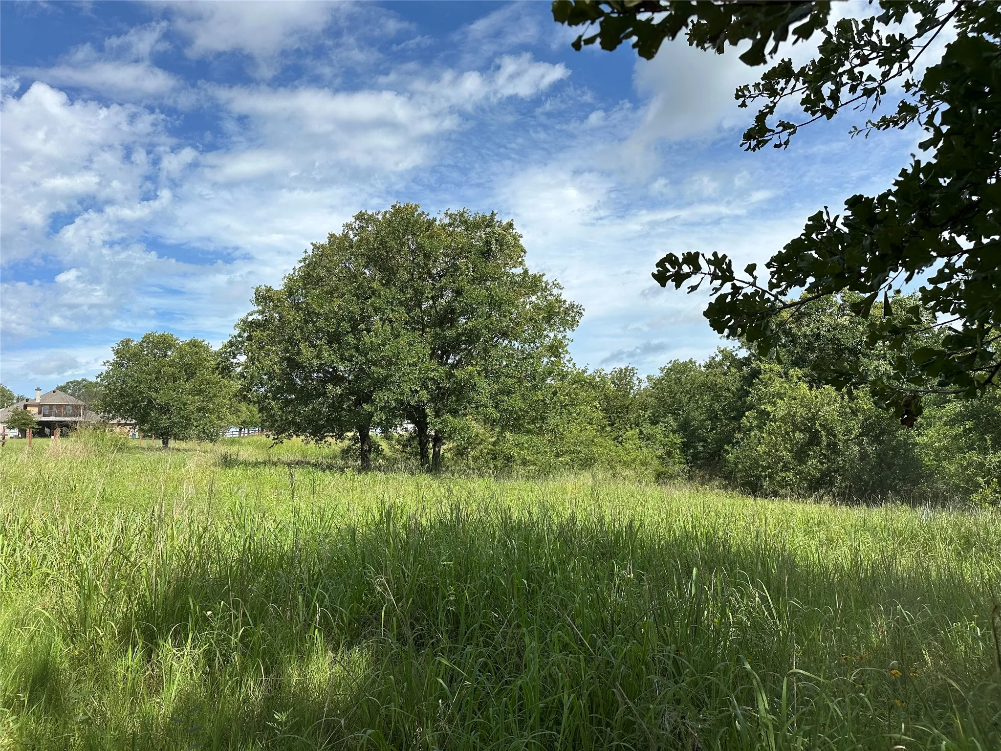 Expansive undeveloped lot featuring mature trees and natural grassland