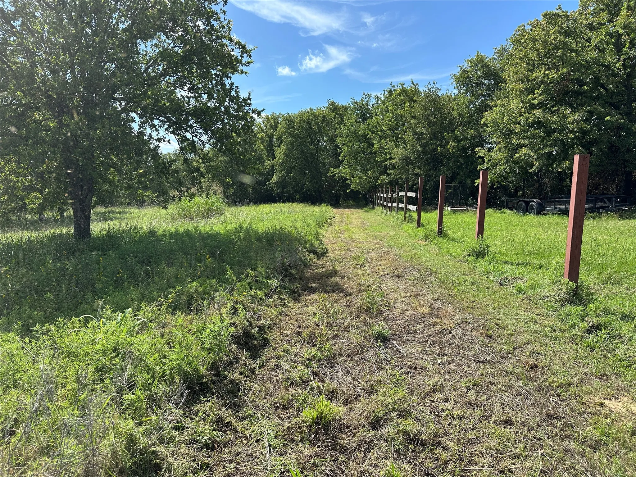 Grassed pathway bordered by mature trees and a partial wooden fence