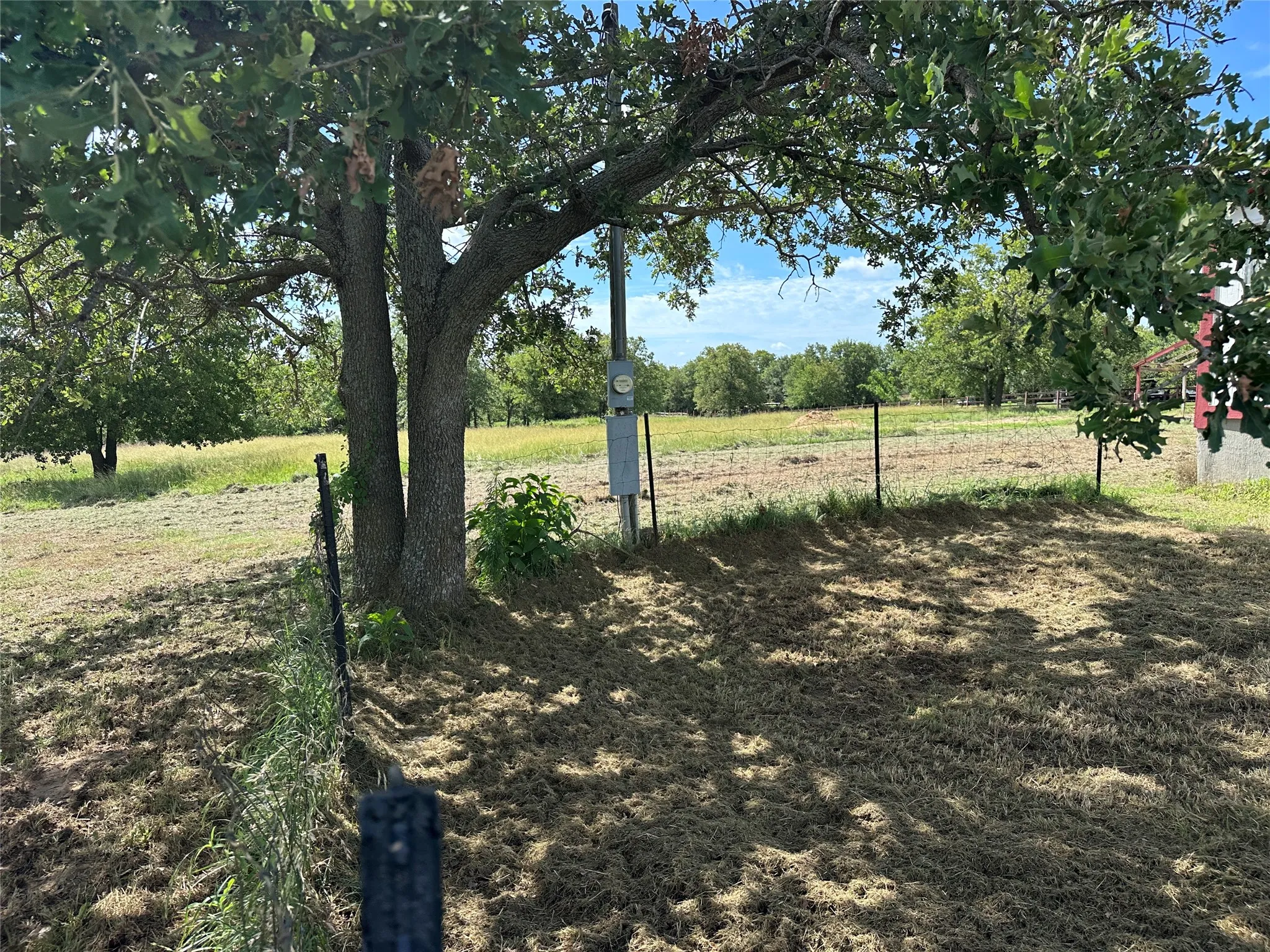 Mature tree providing natural shade, accompanied by a utility box and fencing, with expansive open land visible beyond