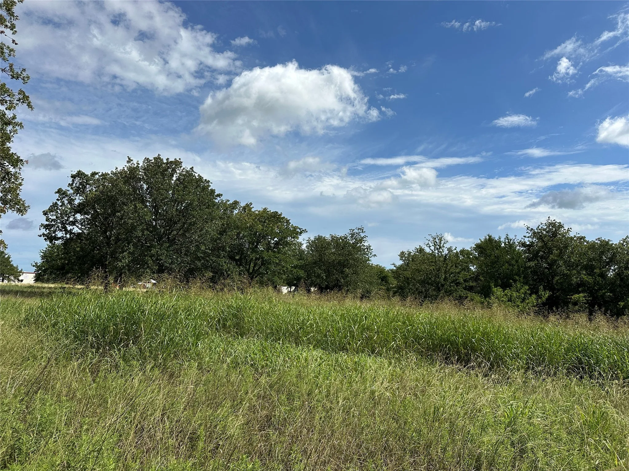 Expansive grassy terrain featuring established trees and a distant structure