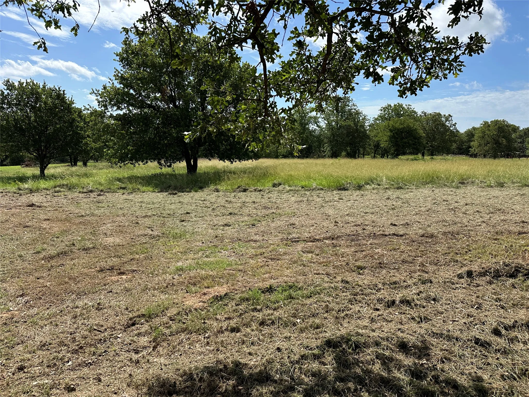 Expansive green space featuring a mix of manicured and natural grass, mature trees, and open skies