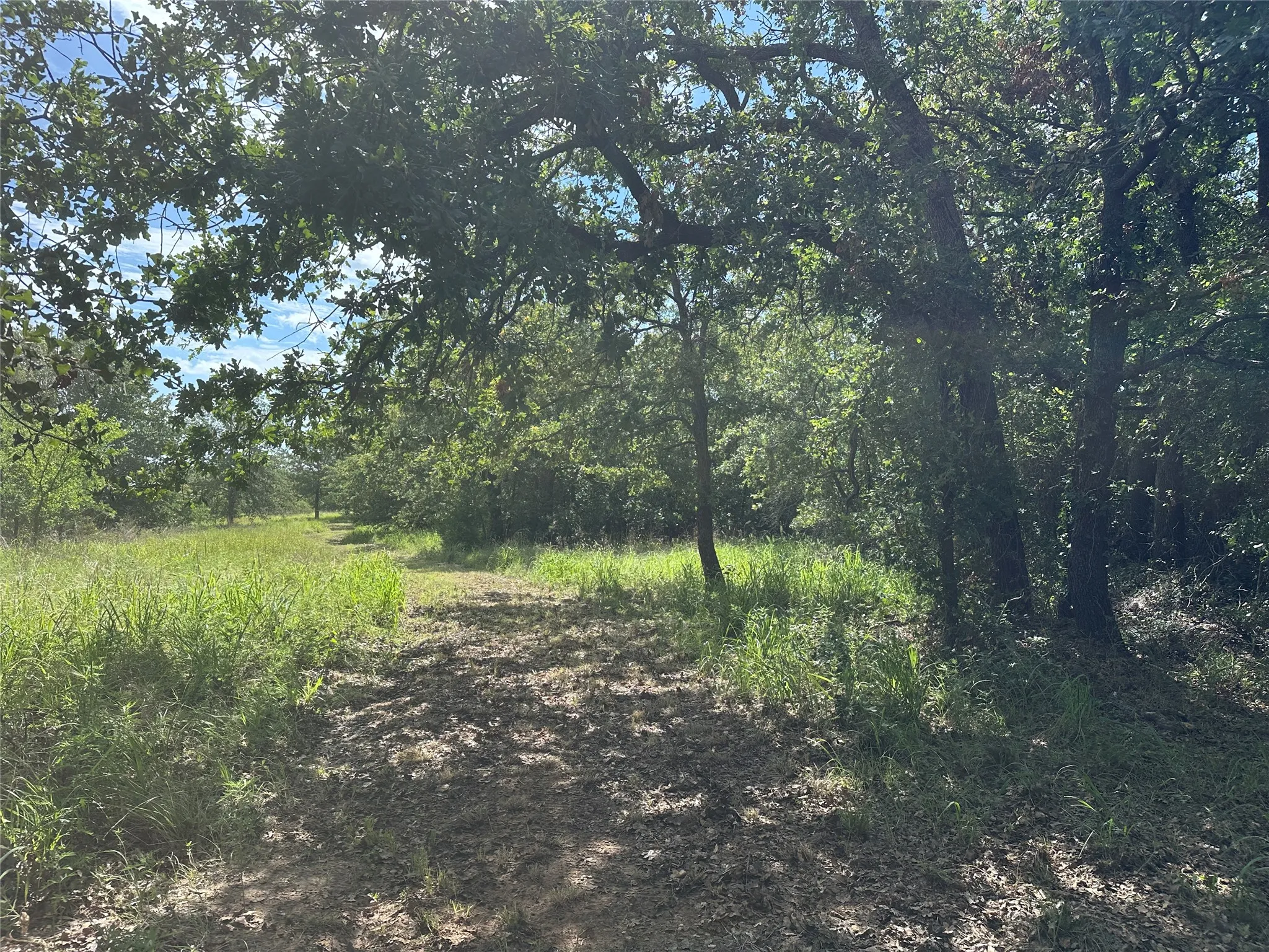 Wooded property featuring mature trees and a natural path