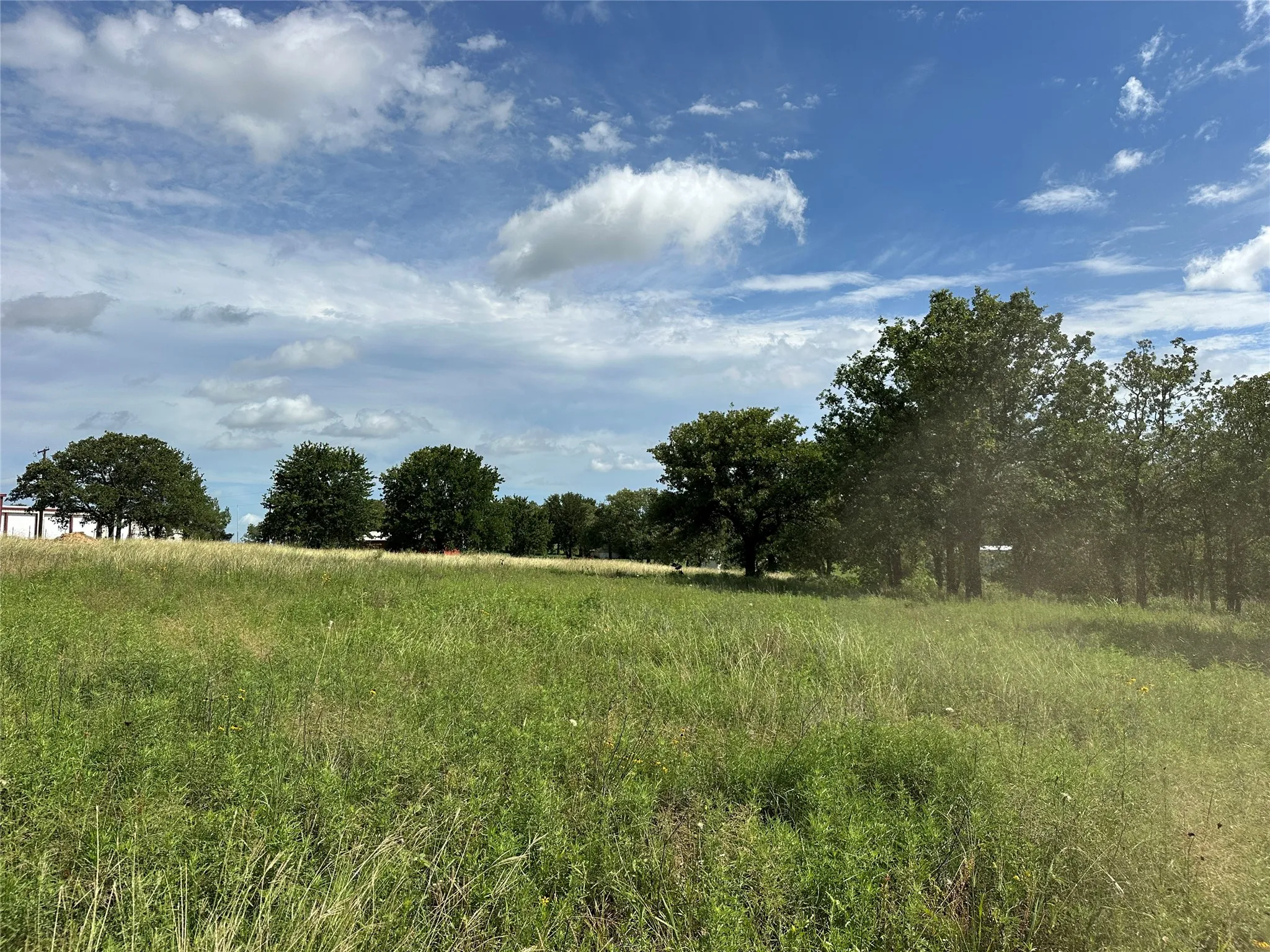 Expansive grassy field offering open space and mature trees, featuring a distant structure with a white exterior and a red roof accent