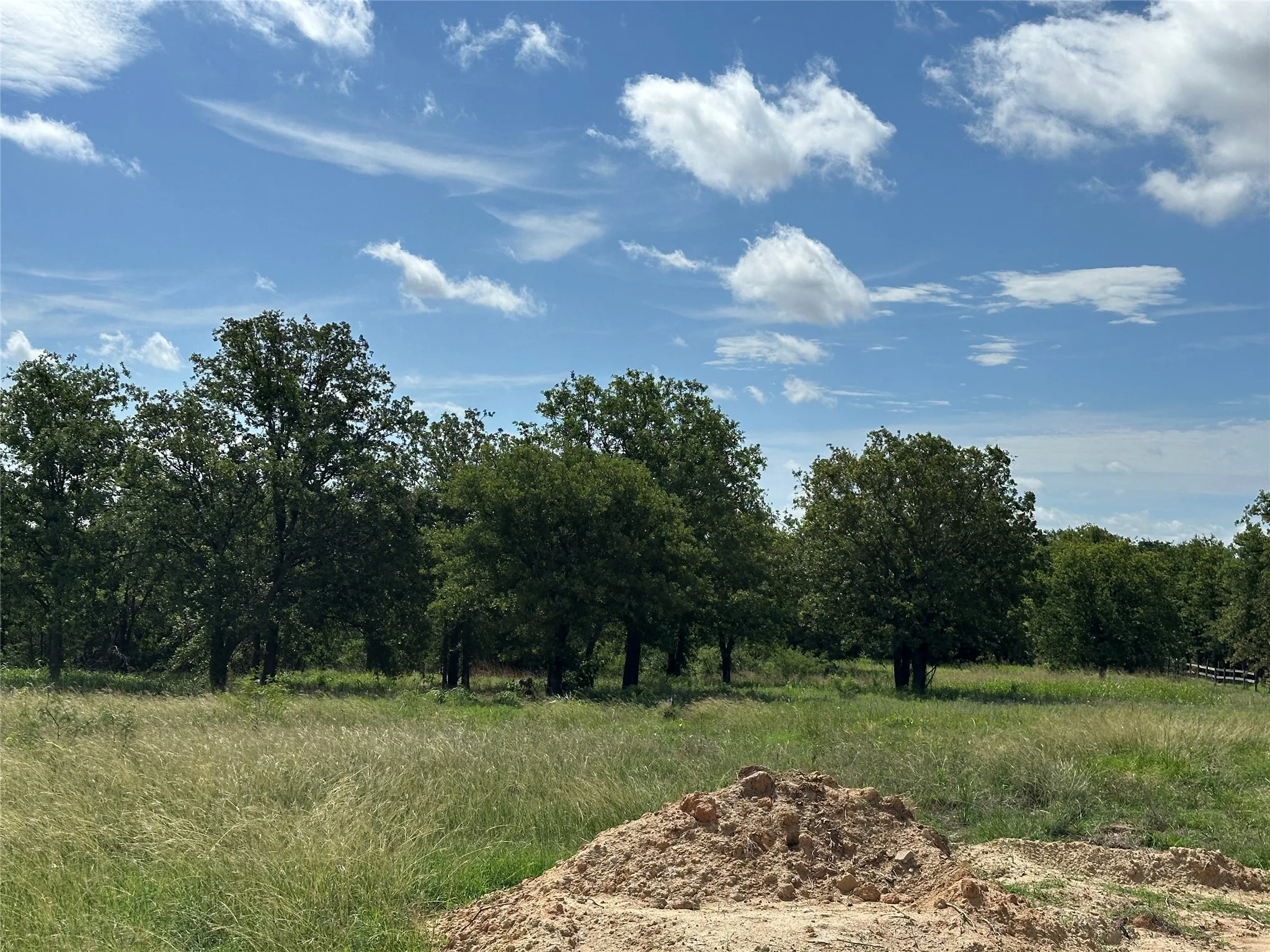 Expansive undeveloped land featuring mature trees and natural grasses