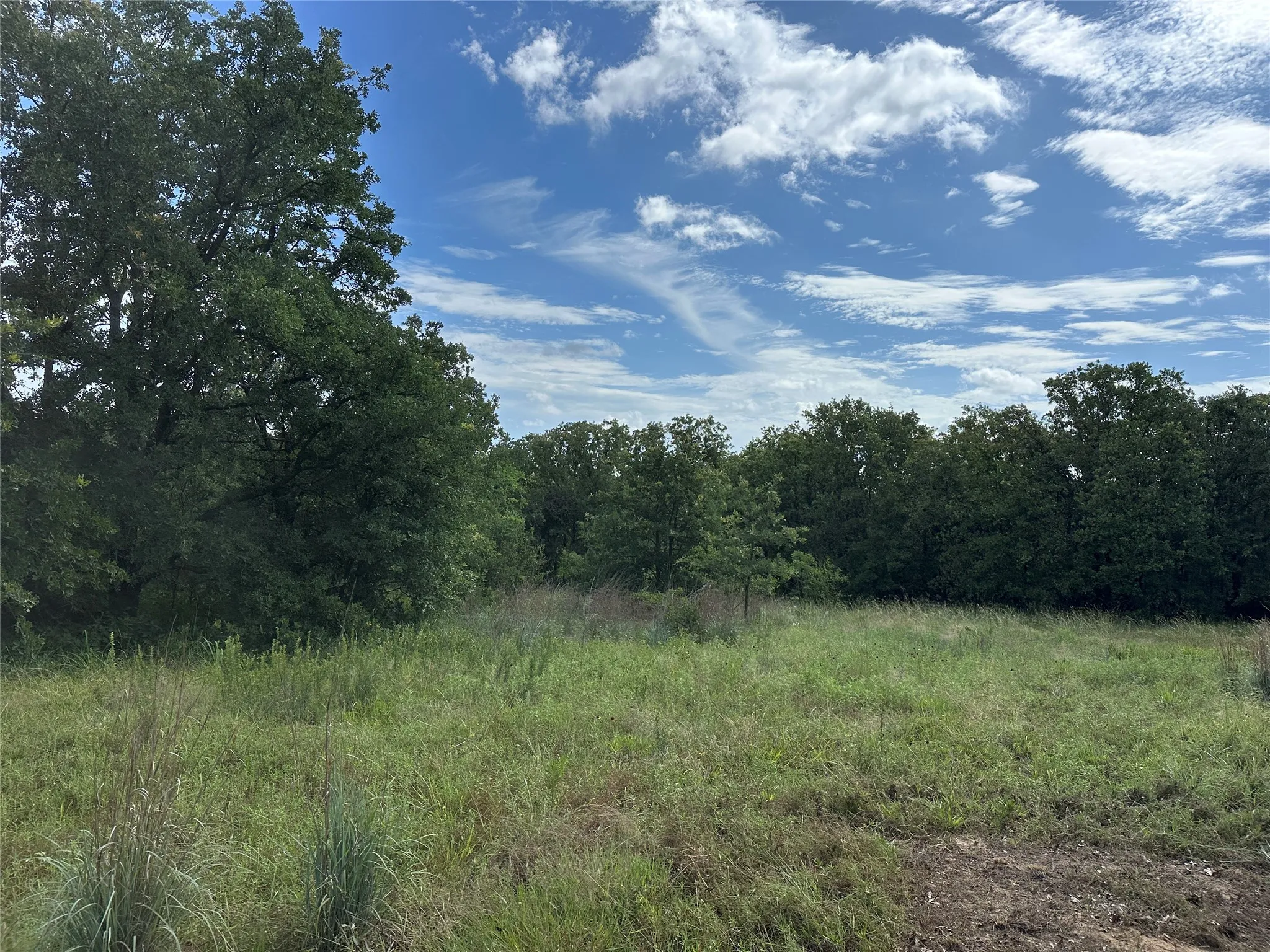Expansive parcel featuring mature trees, open grassy areas, and a naturally vegetated perimeter