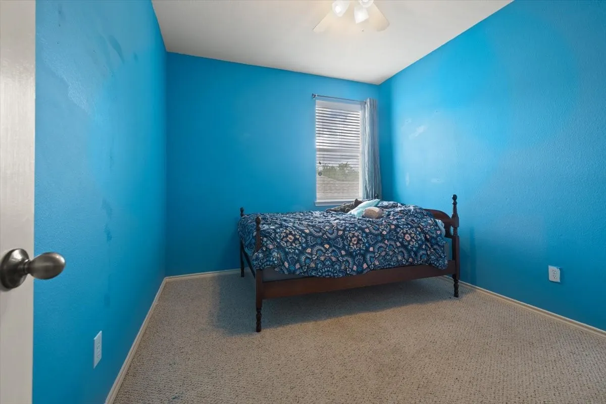 Brightly painted interior room featuring textured walls, a ceiling fan with integrated lighting, window blinds, and carpet flooring