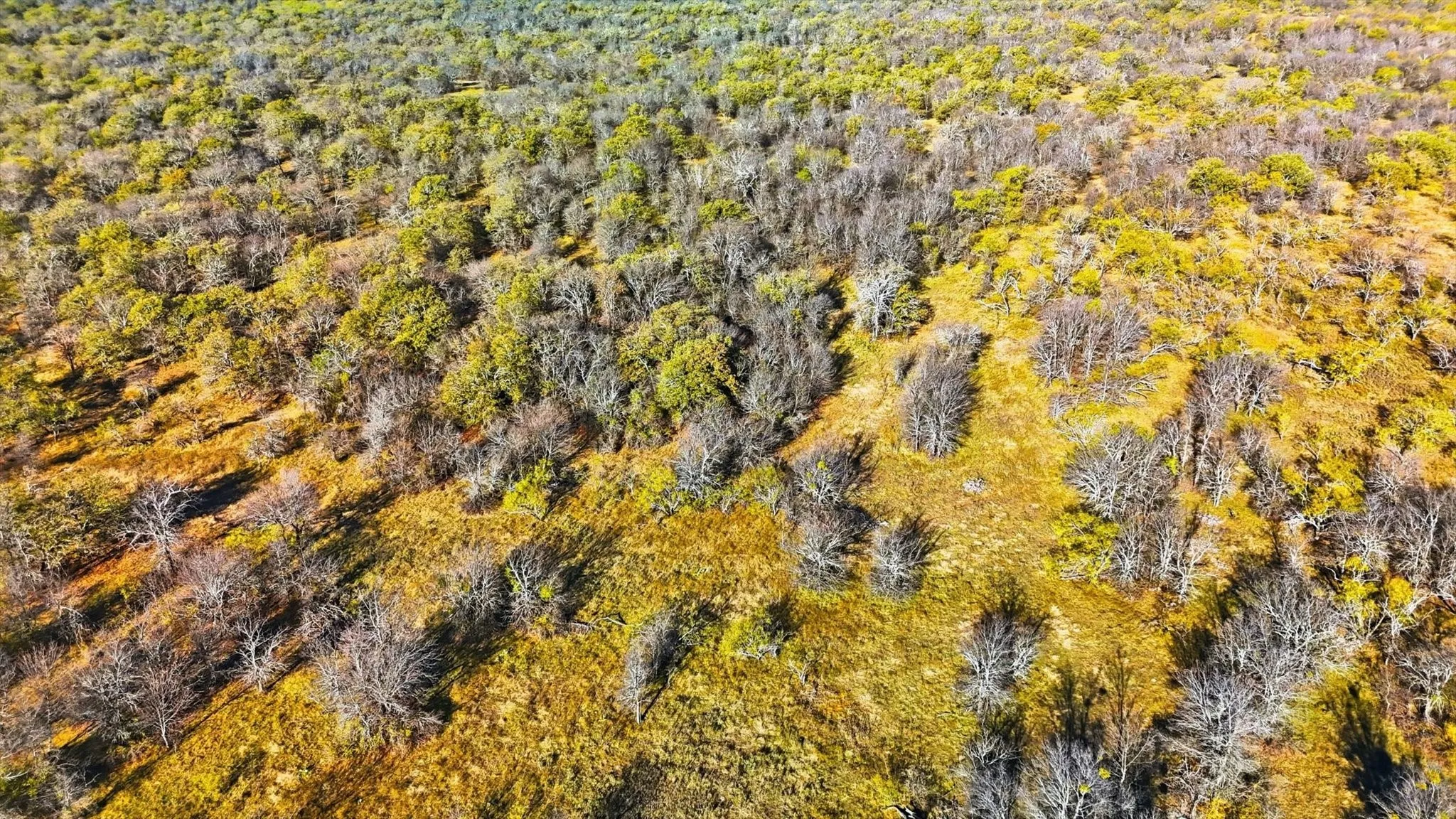 Unimproved Land For Sale in Wise County , 0000 Private Road, Bridgeport, Texas 76426, 0, 0, Garage spaces, 0 Sqft, built in 0, Price $9,975,000, mls#21303141, Real Estate Agent in Bridgeport, Homes For Sale in Wise county, Homes For Sale in Bridgeport, Realtor in Bridgeport Texas, Real Estate Brokerage Independent Realty Texas, Luminita Cordes Realtor