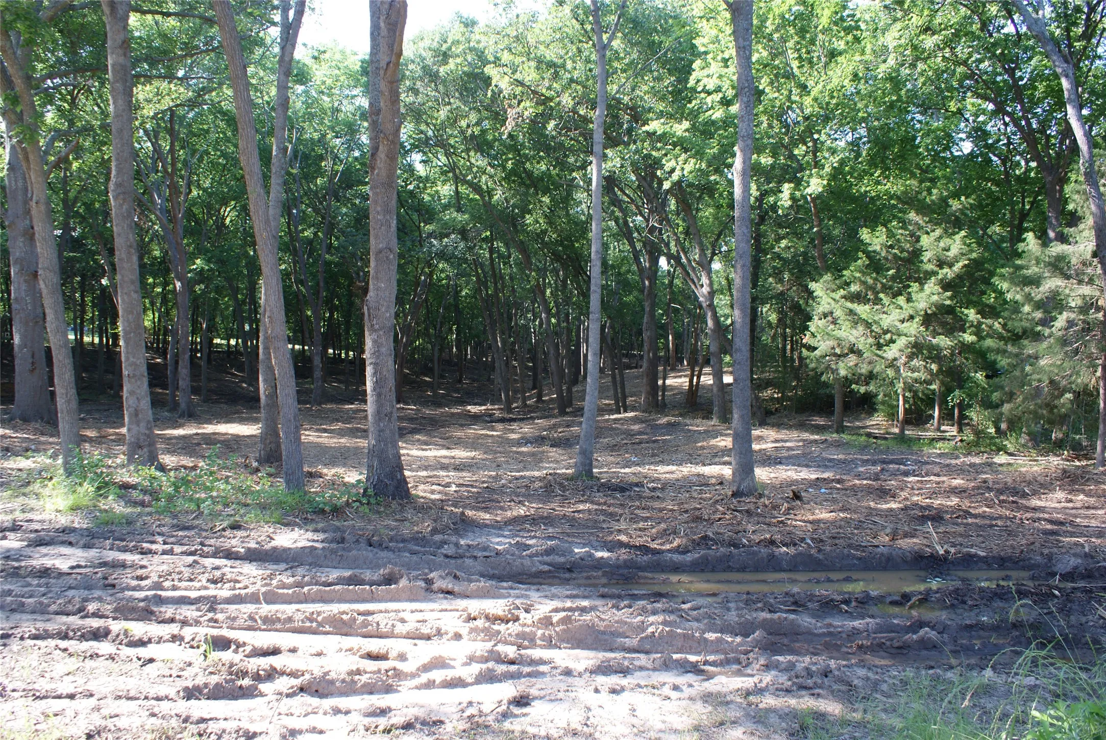 Pictures are from when it was cleared/ Wooded property featuring mature trees and a natural, varied ground cover