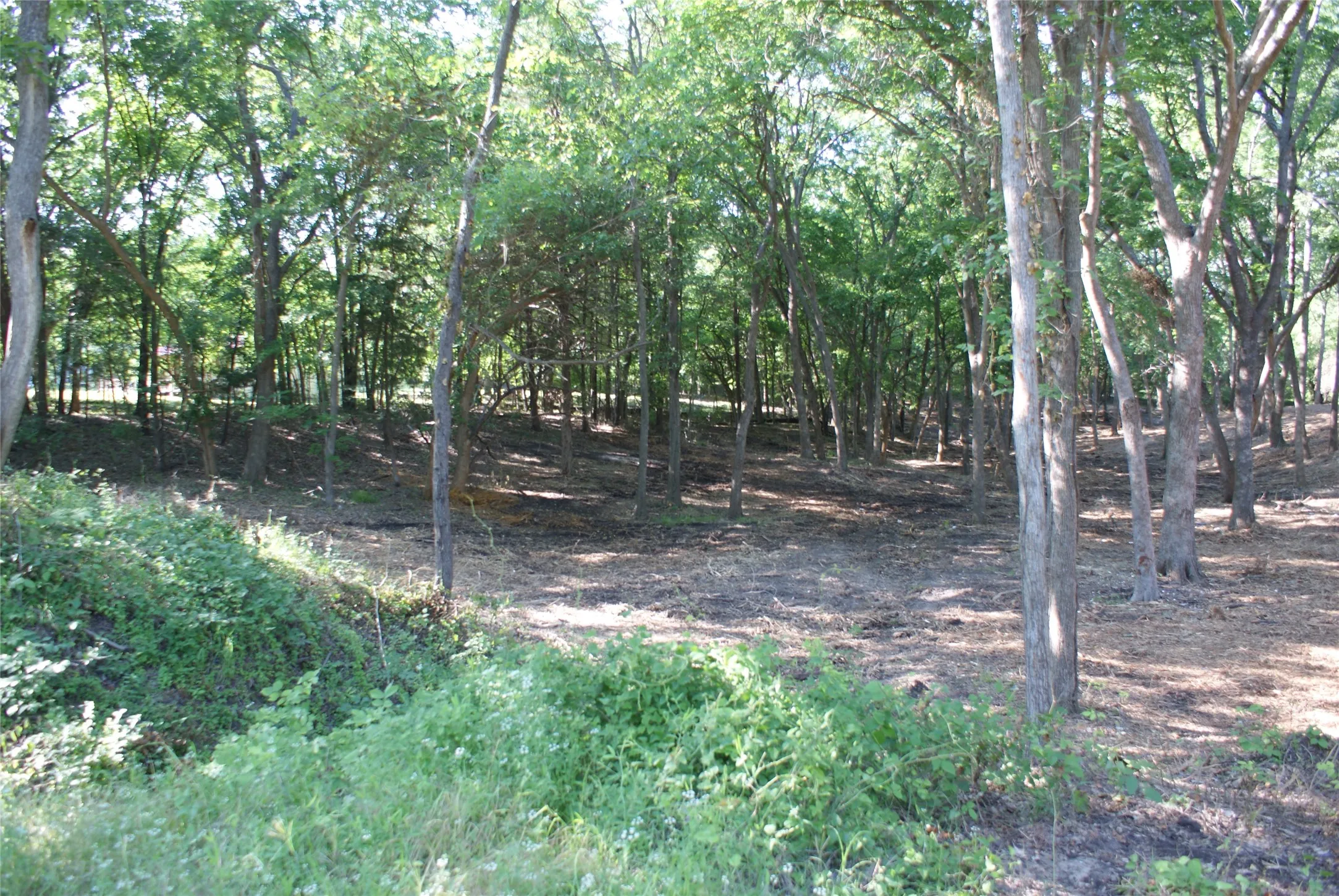 Unimproved Land For Sale in Hunt County , CR 3713 County Road 3713, Quinlan, Texas 75474, 0, 0, Garage spaces, 0 Sqft, built in 0, mls#21303062, Real Estate Agent in Quinlan, Homes For Sale in Hunt county, Homes For Sale in Quinlan, Realtor in Quinlan Texas, Real Estate Brokerage Independent Realty Texas, Luminita Cordes Realtor