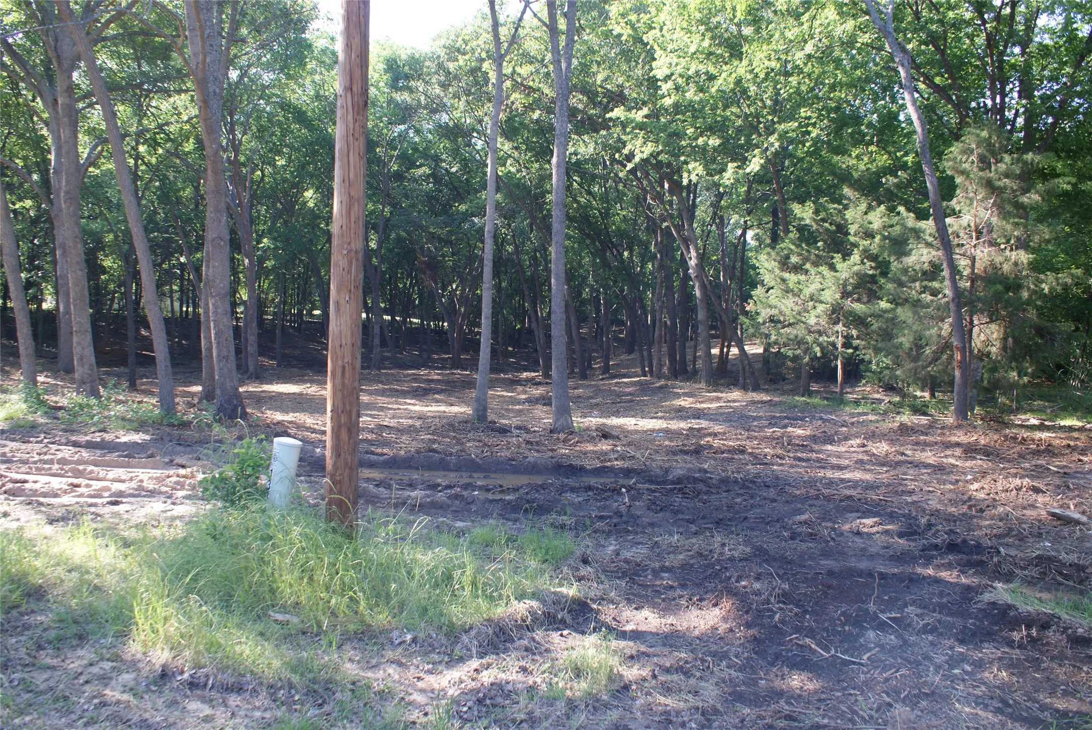 Pictures are from when it was cleared/ Wooded property featuring mature trees and a natural, varied ground cover