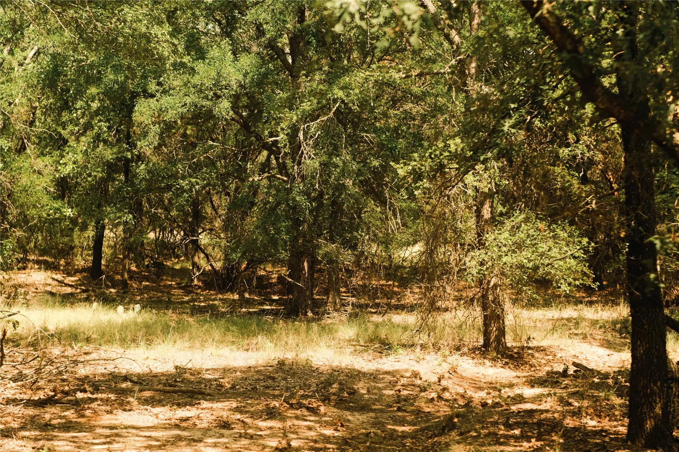 Farm For Sale in Hood County , 10405 Lipan Highway, Lipan, Texas 76462, 3 Bedroom, 2 Bathroom, Garage spaces, 1,200 Sqft, built in 2010, mls#21303074, Real Estate Agent in Lipan, Homes For Sale in Hood county, Homes For Sale in Lipan, Realtor in Lipan Texas, Real Estate Brokerage Independent Realty Texas, Luminita Cordes Realtor