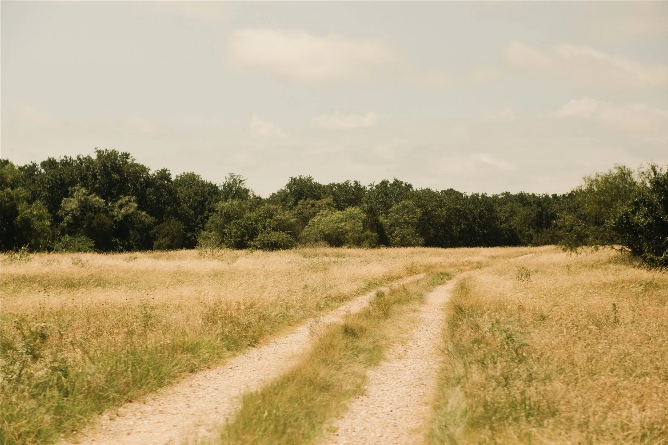 Farm For Sale in Hood County , 10405 Lipan Highway, Lipan, Texas 76462, 3 Bedroom, 2 Bathroom, Garage spaces, 1,200 Sqft, built in 2010, mls#21303074, Real Estate Agent in Lipan, Homes For Sale in Hood county, Homes For Sale in Lipan, Realtor in Lipan Texas, Real Estate Brokerage Independent Realty Texas, Luminita Cordes Realtor