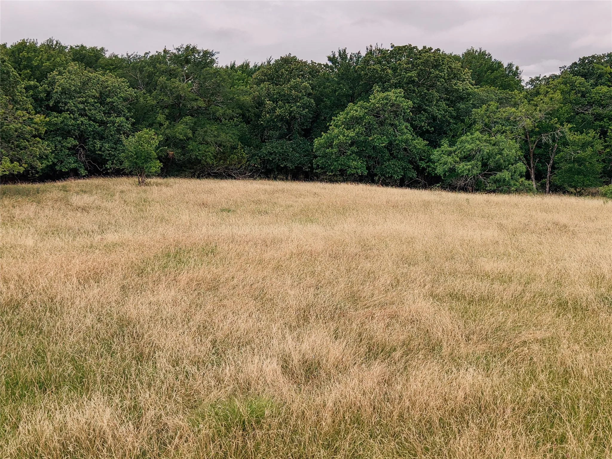 Farm For Sale in Hood County , 10405 Lipan Highway, Lipan, Texas 76462, 3 Bedroom, 2 Bathroom, Garage spaces, 1,200 Sqft, built in 2010, mls#21303074, Real Estate Agent in Lipan, Homes For Sale in Hood county, Homes For Sale in Lipan, Realtor in Lipan Texas, Real Estate Brokerage Independent Realty Texas, Luminita Cordes Realtor