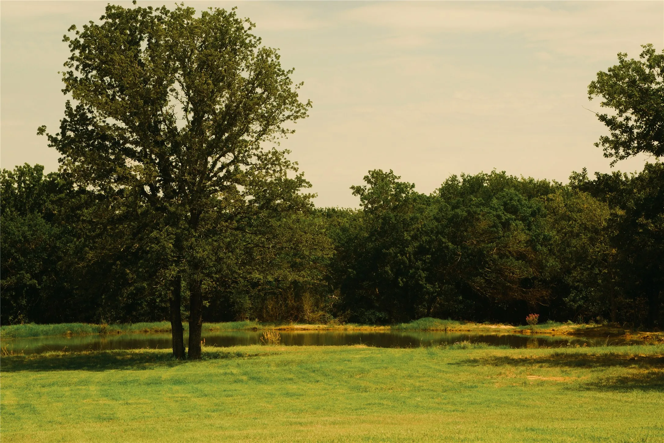 Farm For Sale in Hood County , 10405 Lipan Highway, Lipan, Texas 76462, 3 Bedroom, 2 Bathroom, Garage spaces, 1,200 Sqft, built in 2010, mls#21303074, Real Estate Agent in Lipan, Homes For Sale in Hood county, Homes For Sale in Lipan, Realtor in Lipan Texas, Real Estate Brokerage Independent Realty Texas, Luminita Cordes Realtor