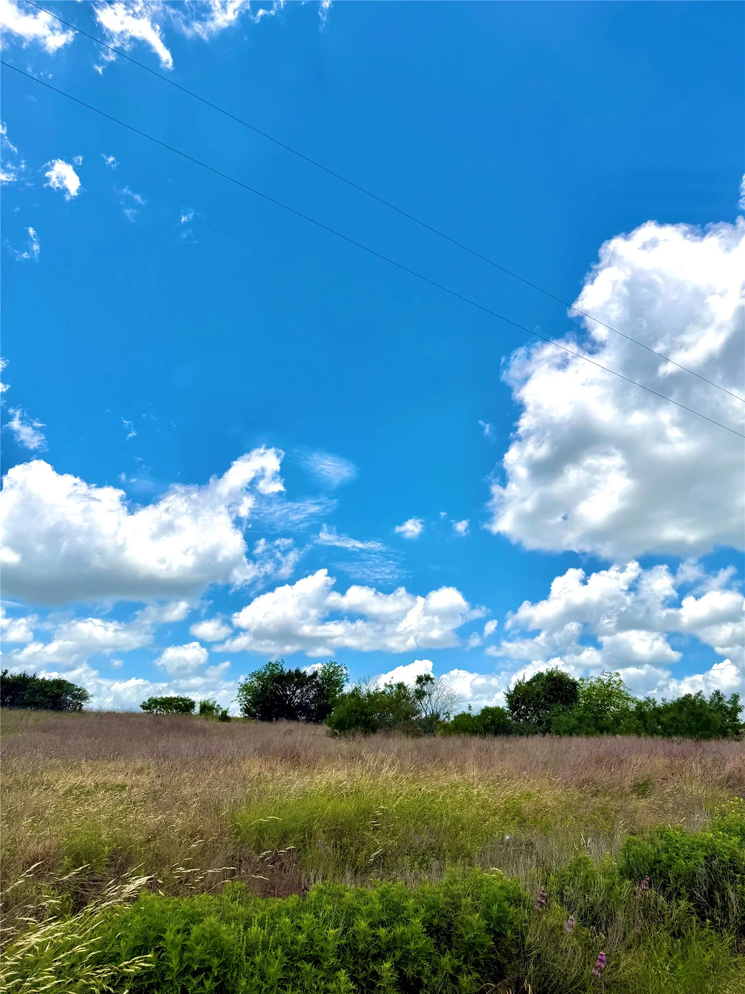 Unimproved Land For Sale in Erath County , TBD Tract 75 Adobe Hill Drive, Stephenville, Texas 76401, 0, 0, Garage spaces, 0 Sqft, built in 0, Price $89,900, mls#21303187, Real Estate Agent in Stephenville, Homes For Sale in Erath county, Homes For Sale in Stephenville, Realtor in Stephenville Texas, Real Estate Brokerage Independent Realty Texas, Luminita Cordes Realtor