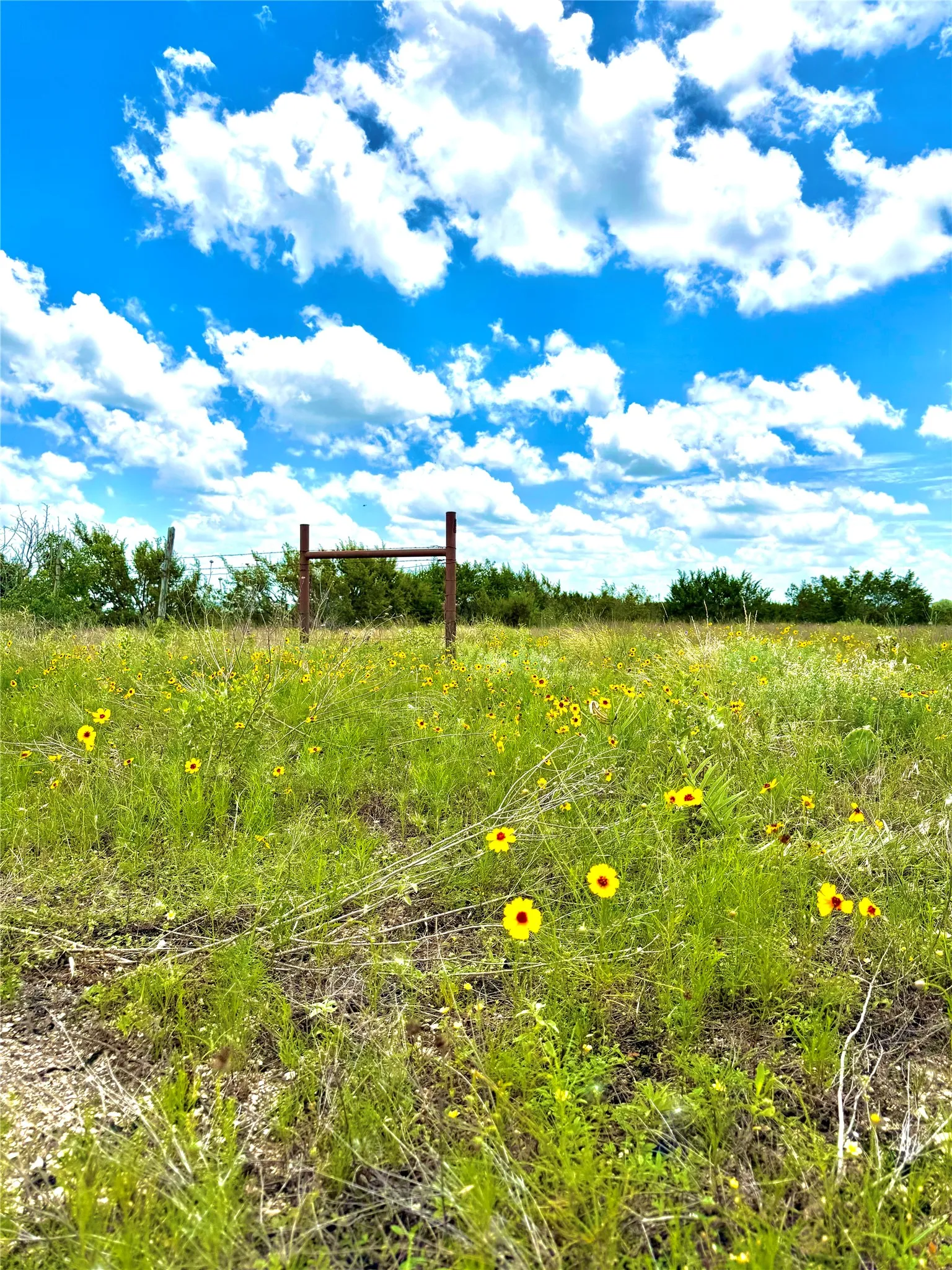 Unimproved Land For Sale in Erath County , TBD Tract 75 Adobe Hill Drive, Stephenville, Texas 76401, 0, 0, Garage spaces, 0 Sqft, built in 0, Price $89,900, mls#21303187, Real Estate Agent in Stephenville, Homes For Sale in Erath county, Homes For Sale in Stephenville, Realtor in Stephenville Texas, Real Estate Brokerage Independent Realty Texas, Luminita Cordes Realtor