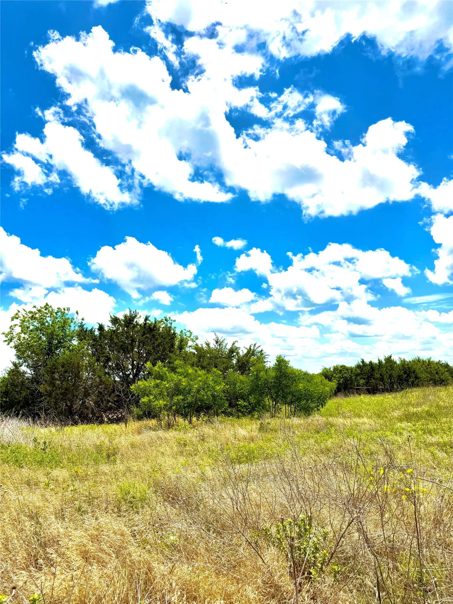 Unimproved Land For Sale in Erath County , TBD Tract 75 Adobe Hill Drive, Stephenville, Texas 76401, 0, 0, Garage spaces, 0 Sqft, built in 0, Price $89,900, mls#21303187, Real Estate Agent in Stephenville, Homes For Sale in Erath county, Homes For Sale in Stephenville, Realtor in Stephenville Texas, Real Estate Brokerage Independent Realty Texas, Luminita Cordes Realtor