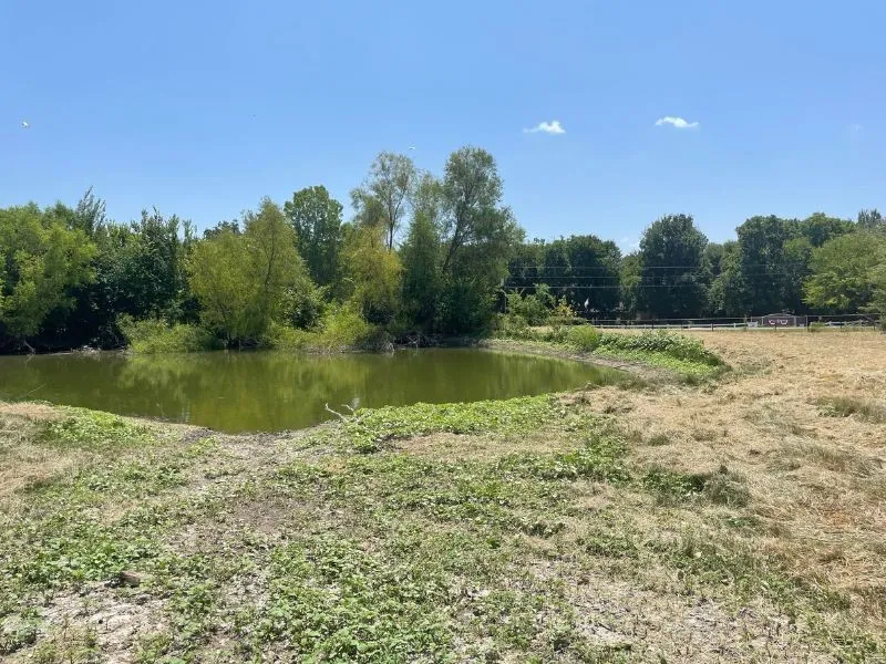Improved Land For Sale in Collin County , 11321 Wild Rose Lane, Anna, Texas 75409, 0, 0, Garage spaces, 0 Sqft, built in 0, mls#21303213, Real Estate Agent in Anna, Homes For Sale in Collin county, Homes For Sale in Anna, Realtor in Anna Texas, Real Estate Brokerage Independent Realty Texas, Luminita Cordes Realtor