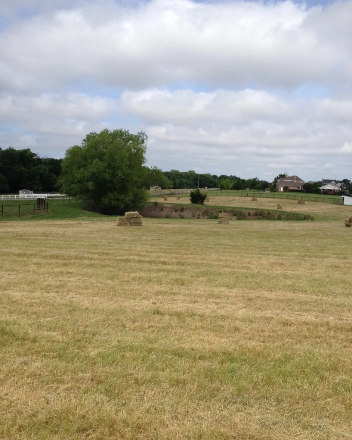 square bales