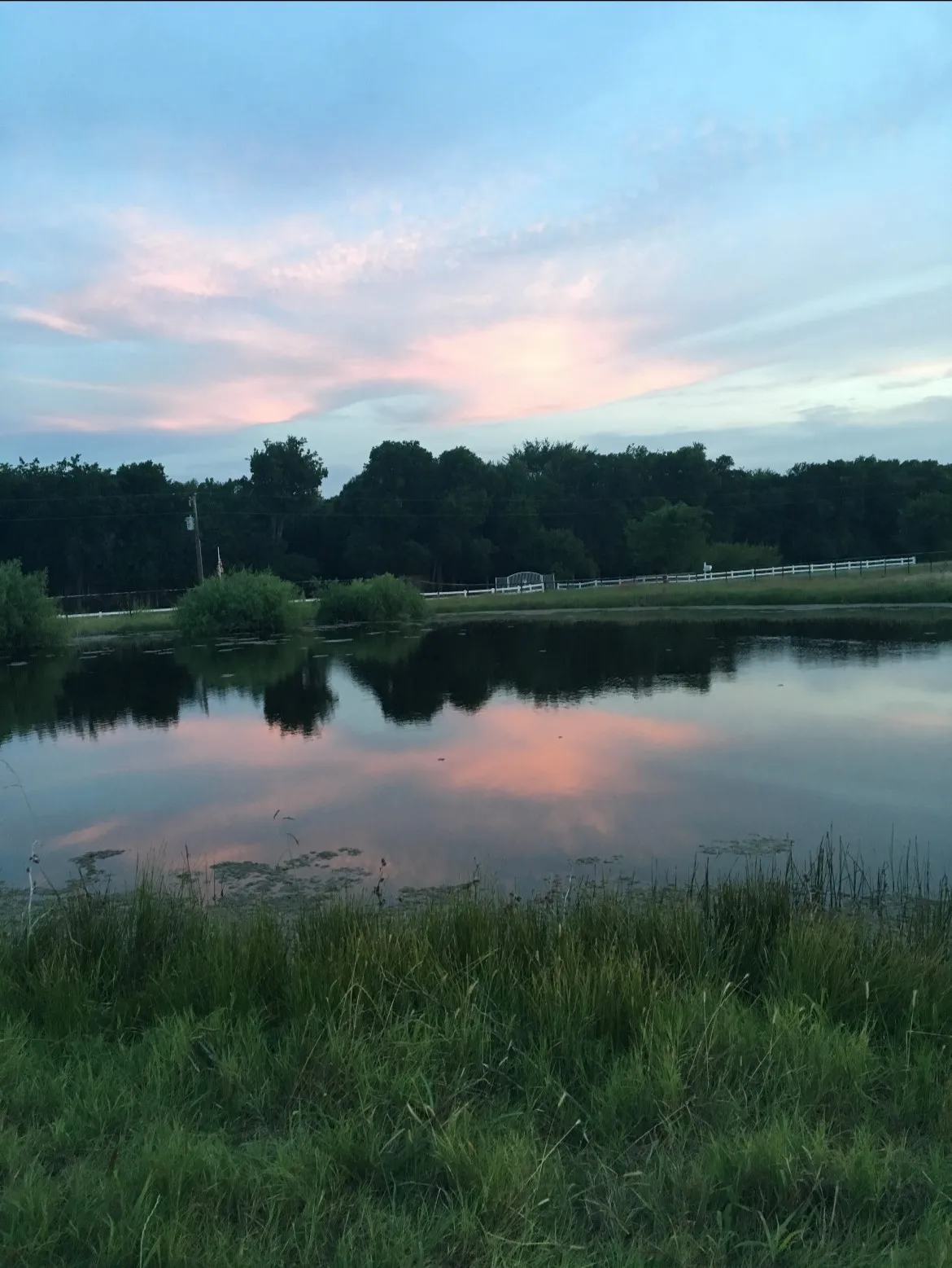 Water view