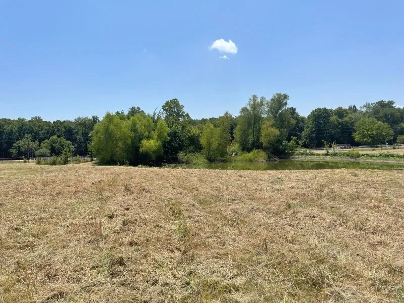 Expansive open field with a pond and mature tree line