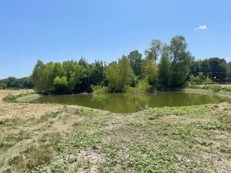 Improved Land For Sale in Collin County , 11321 Wild Rose Lane, Anna, Texas 75409, 0, 0, Garage spaces, 0 Sqft, built in 0, mls#21303213, Real Estate Agent in Anna, Homes For Sale in Collin county, Homes For Sale in Anna, Realtor in Anna Texas, Real Estate Brokerage Independent Realty Texas, Luminita Cordes Realtor