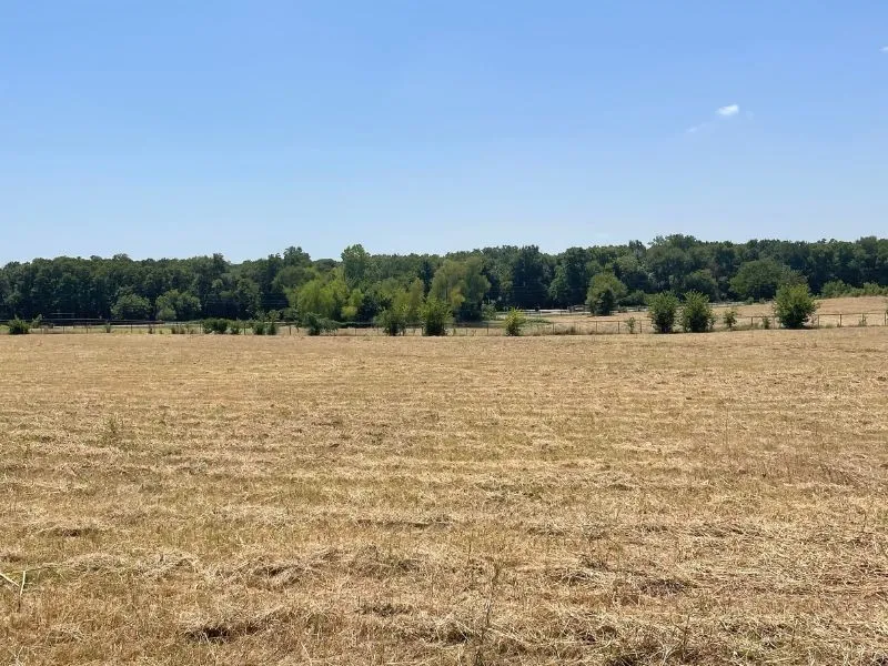 Expansive open land with a distant tree line and clear sky