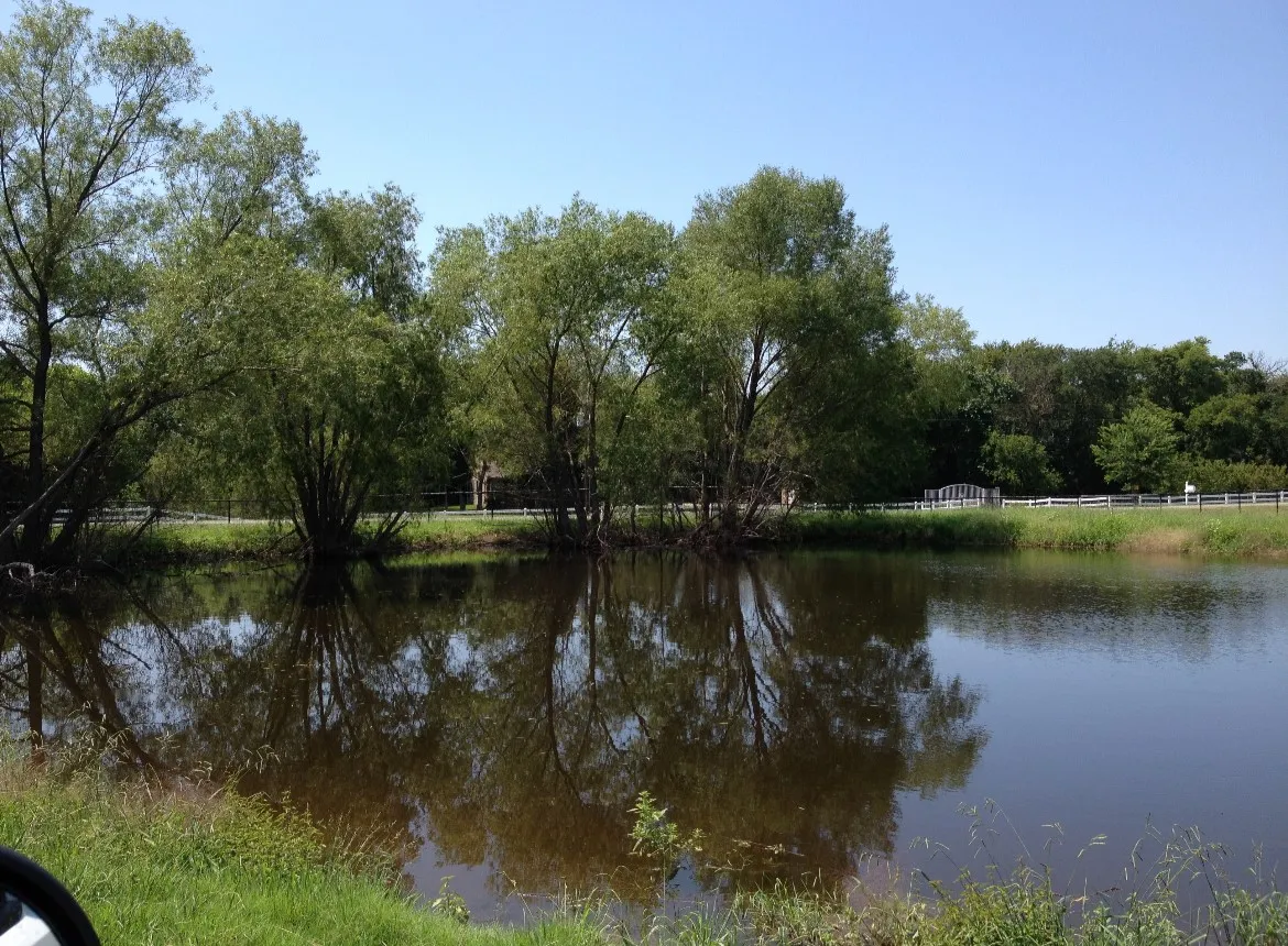 Water view