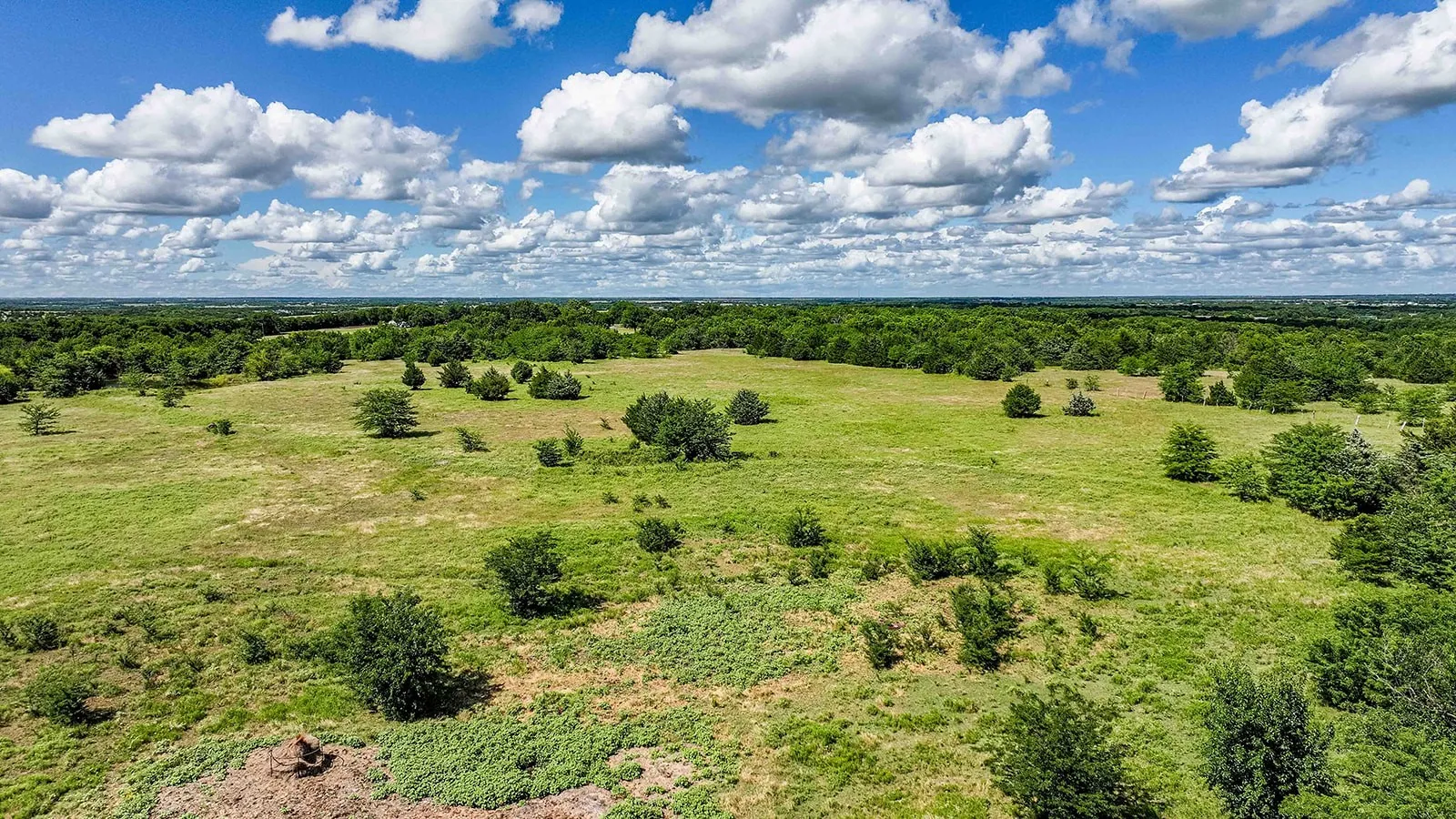 Expansive open pastureland featuring scattered mature trees and lush green foliage